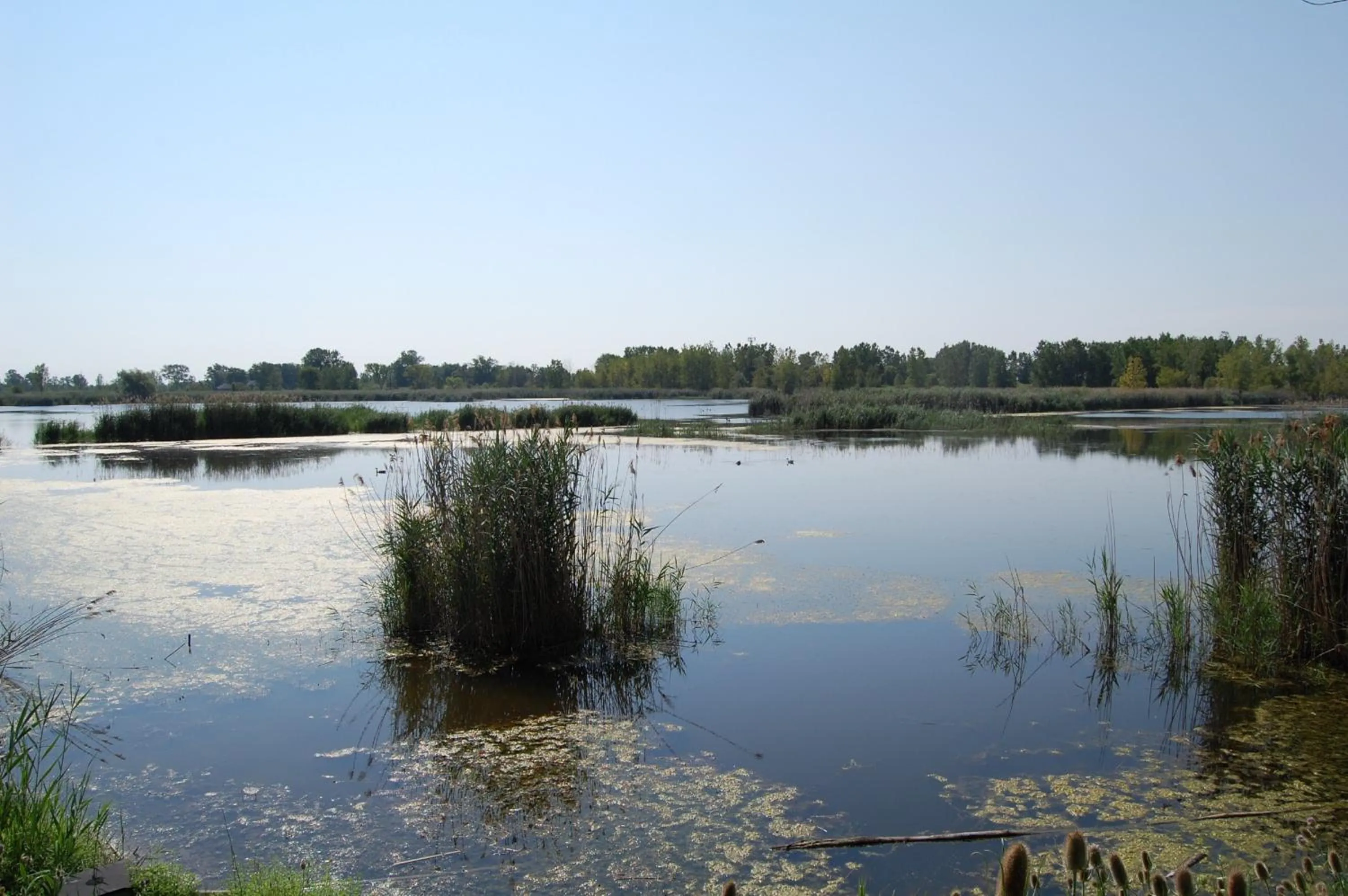 Nearby landmark in Holiday Inn Express - Sarnia - Point Edward by IHG