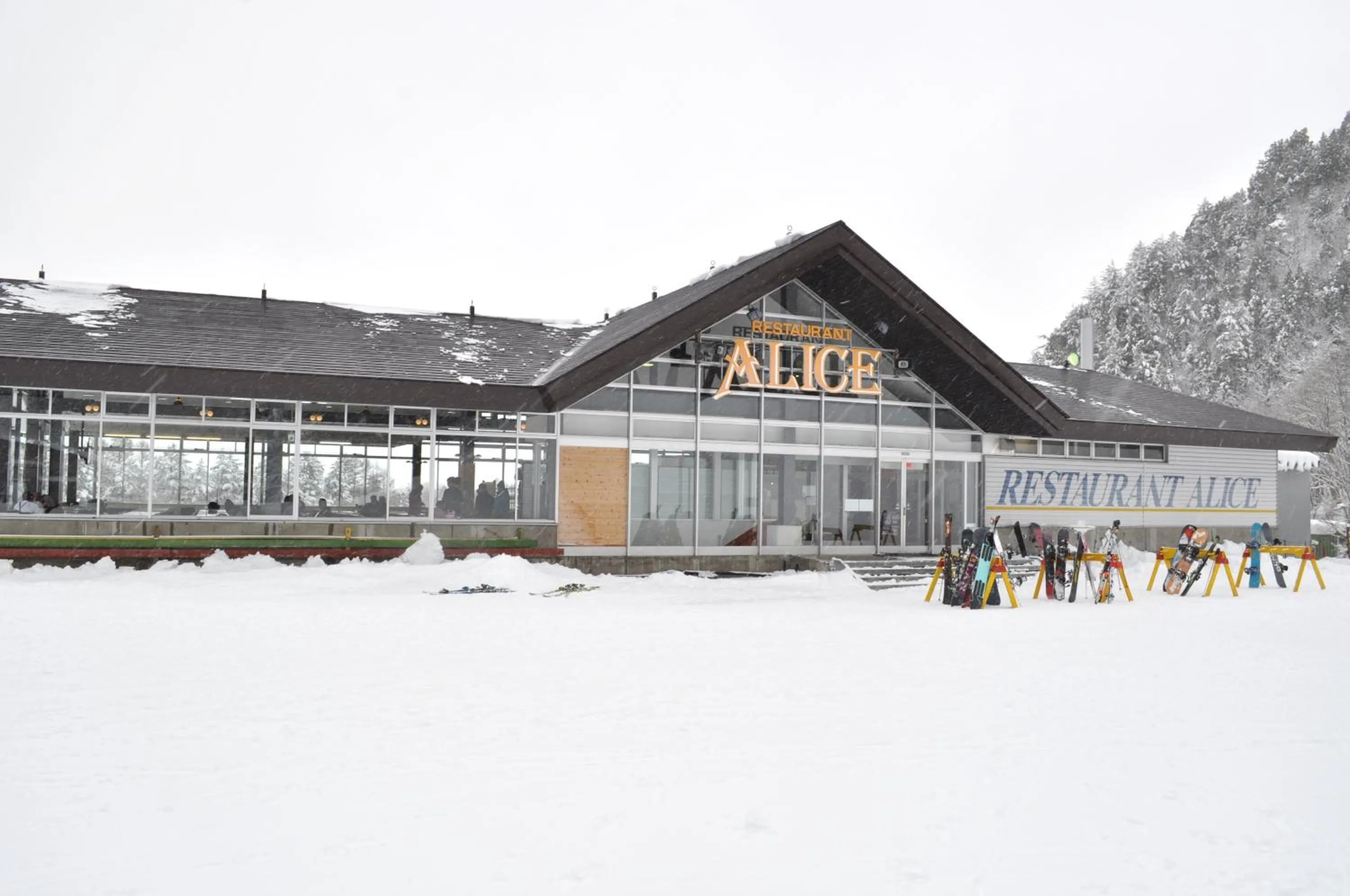 Skiing in Pension Risuno Koya