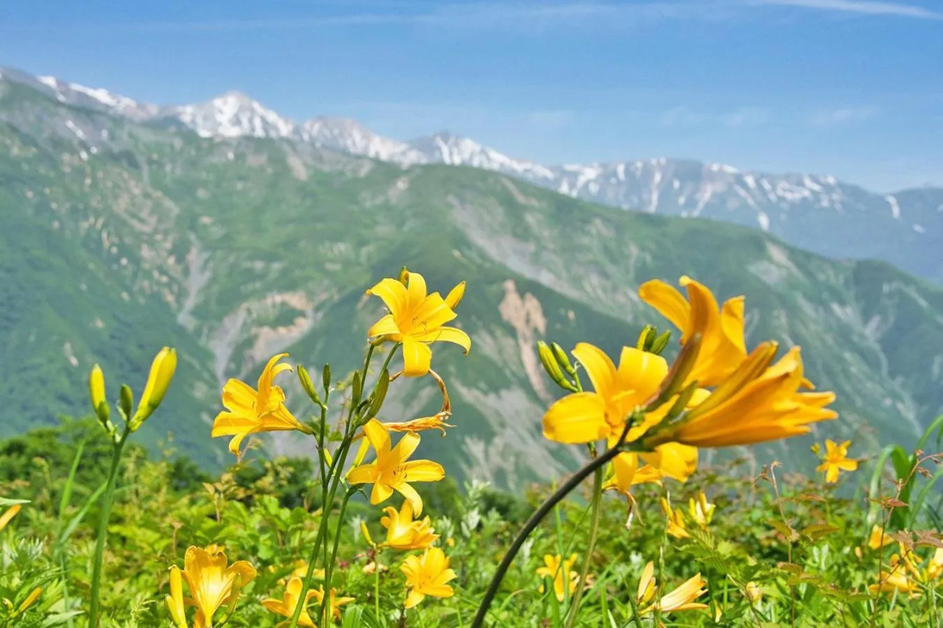 Nearby landmark in Pension Risuno Koya