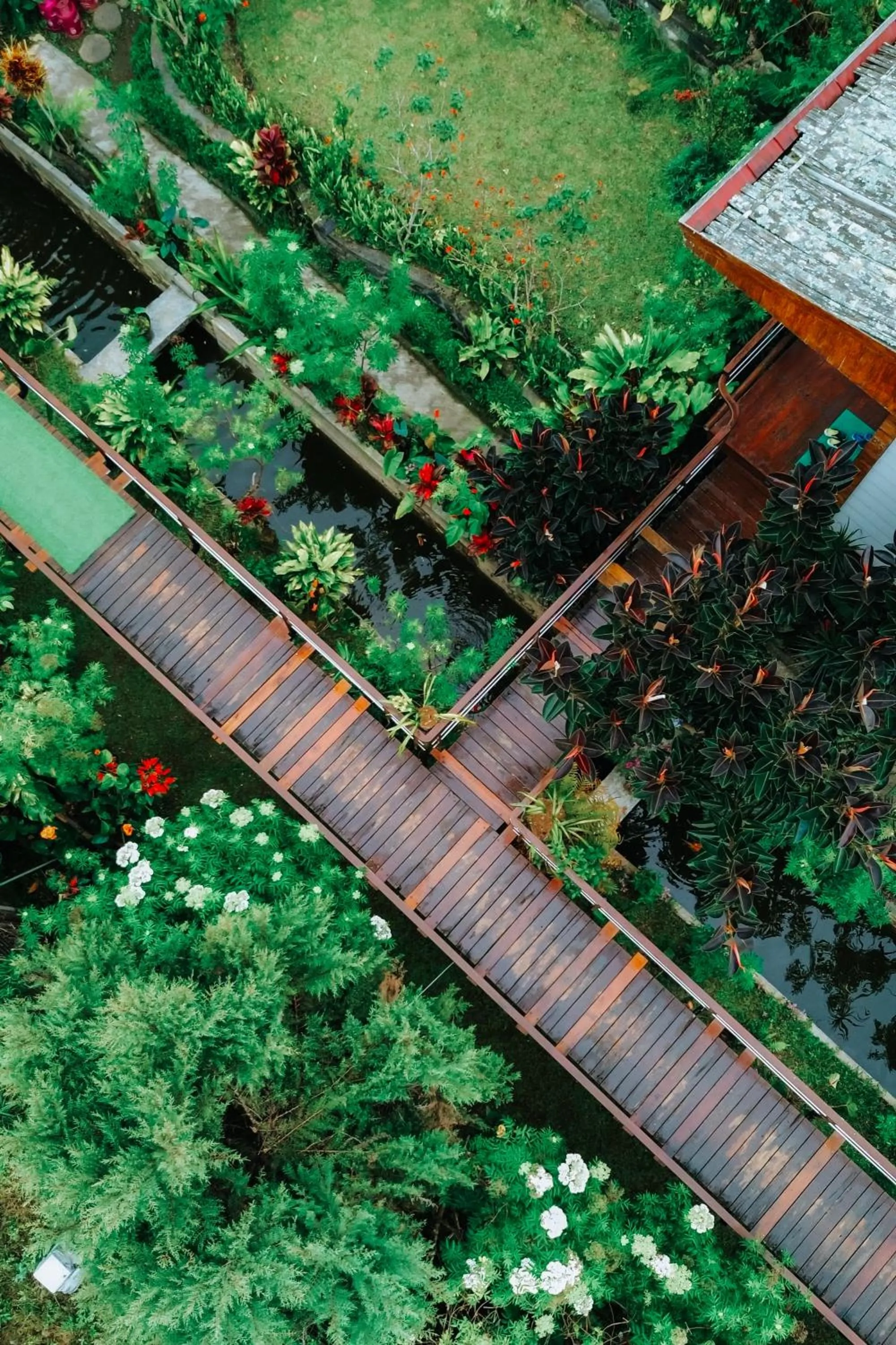 Garden view in Pondanu Cabins By The Lake