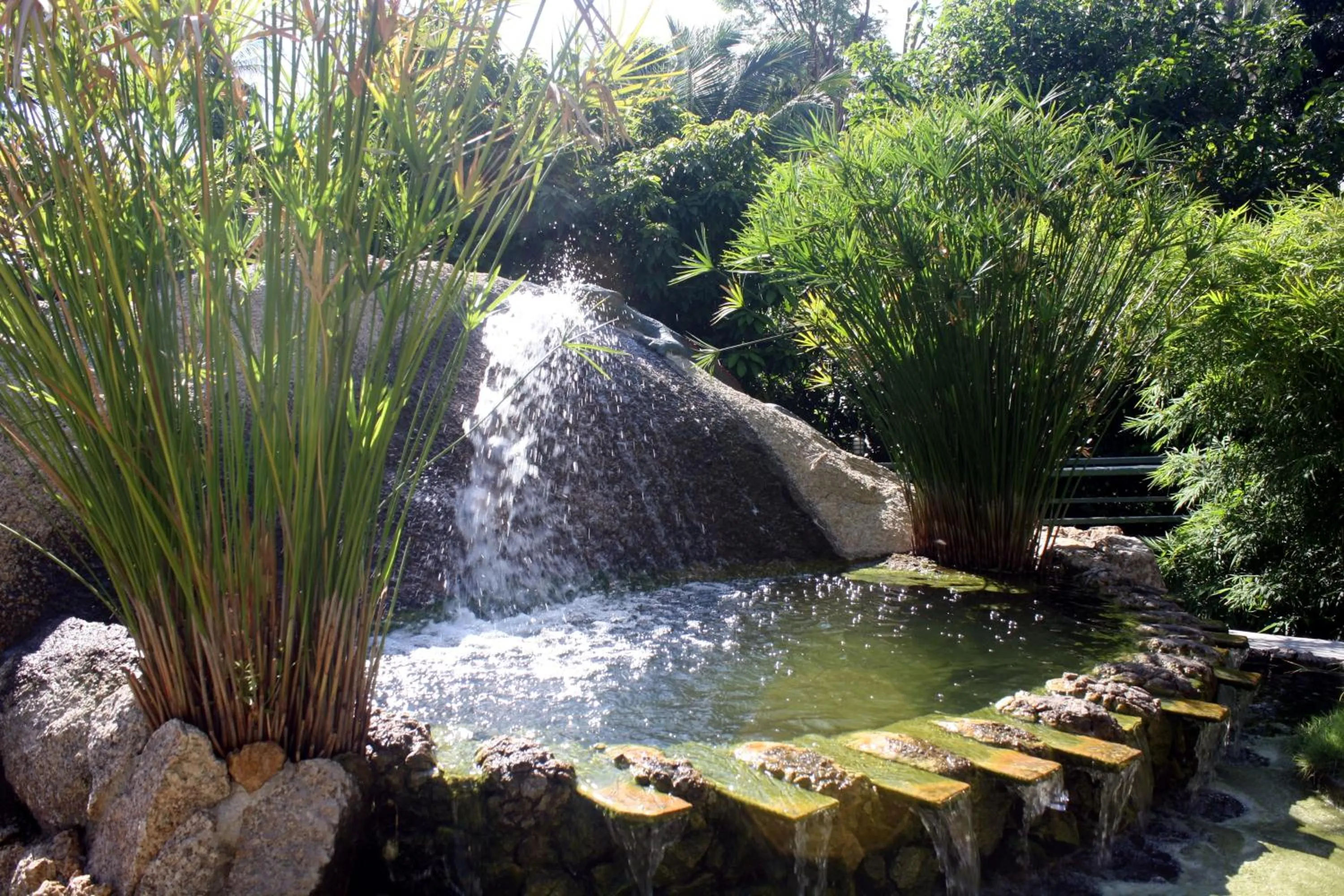 Decorative detail in Moonstone Studio