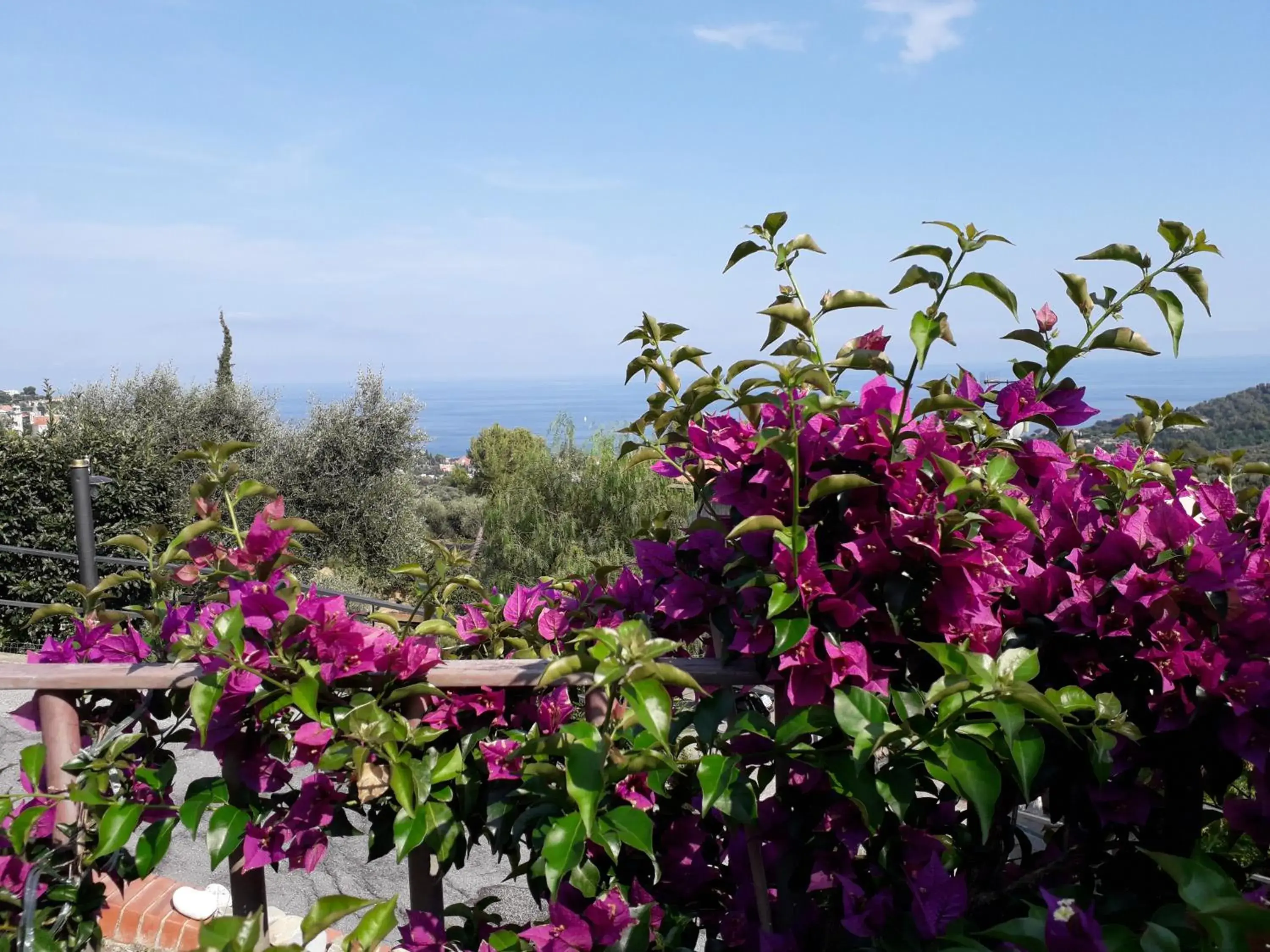 Il Porto di Benny Il Porto di Benny