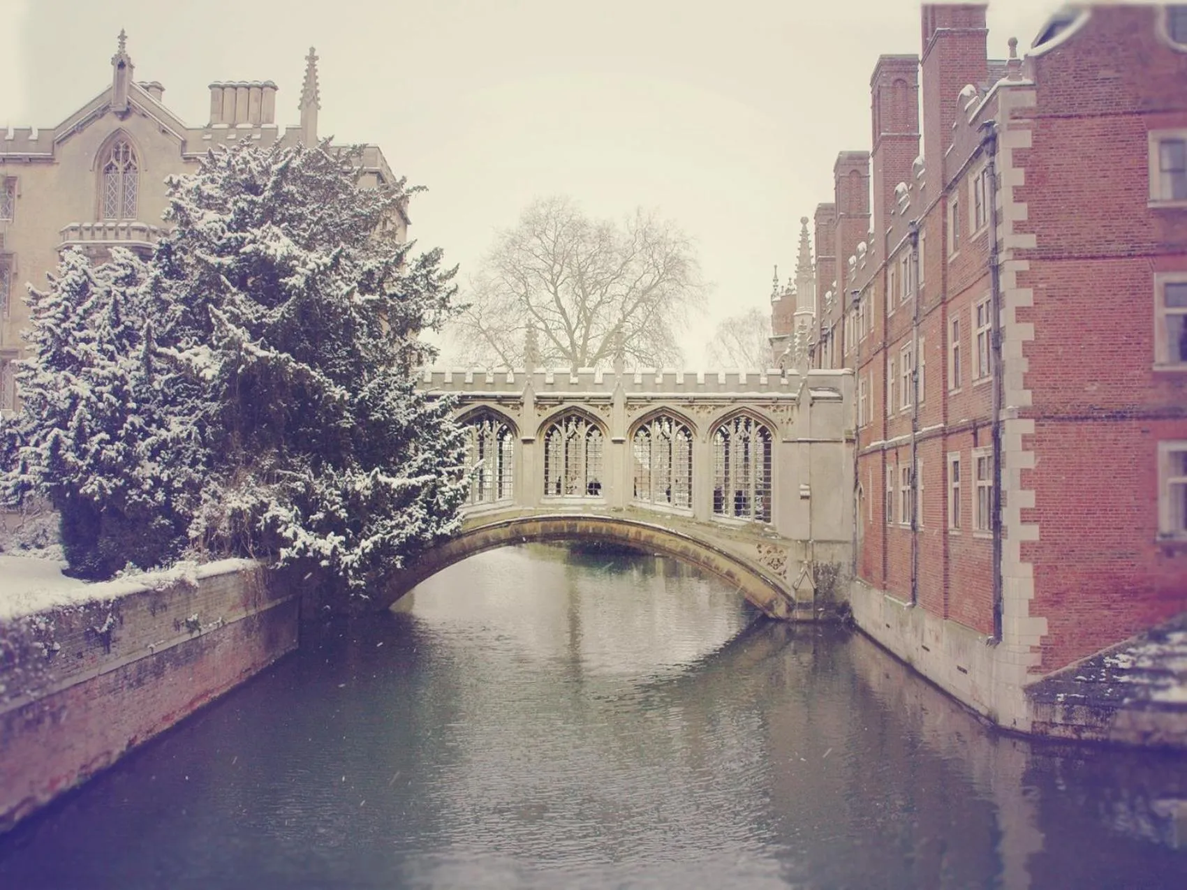 Other in Thorn House B&B