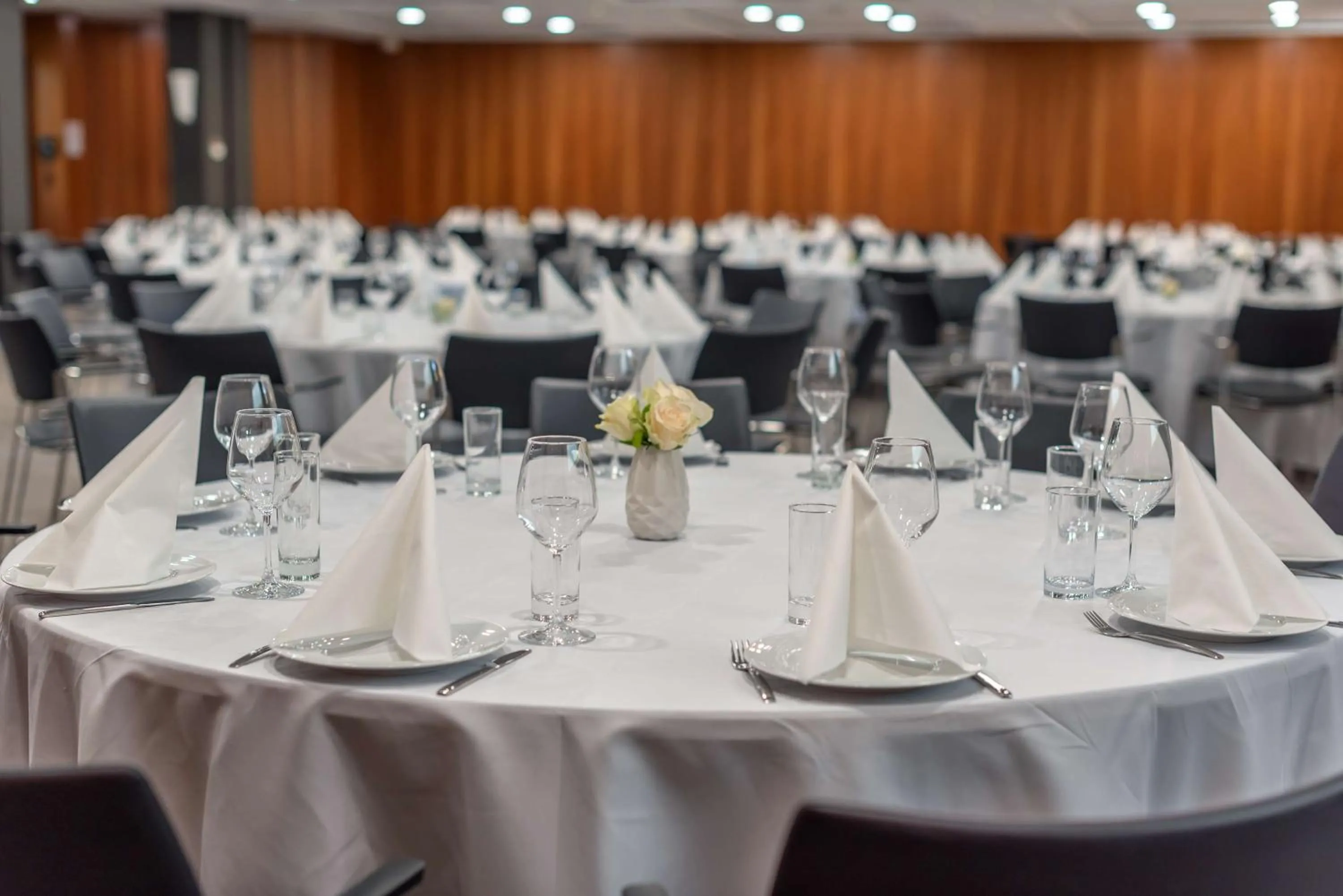 Banquet/Function facilities in DoubleTree by Hilton Paris Bougival