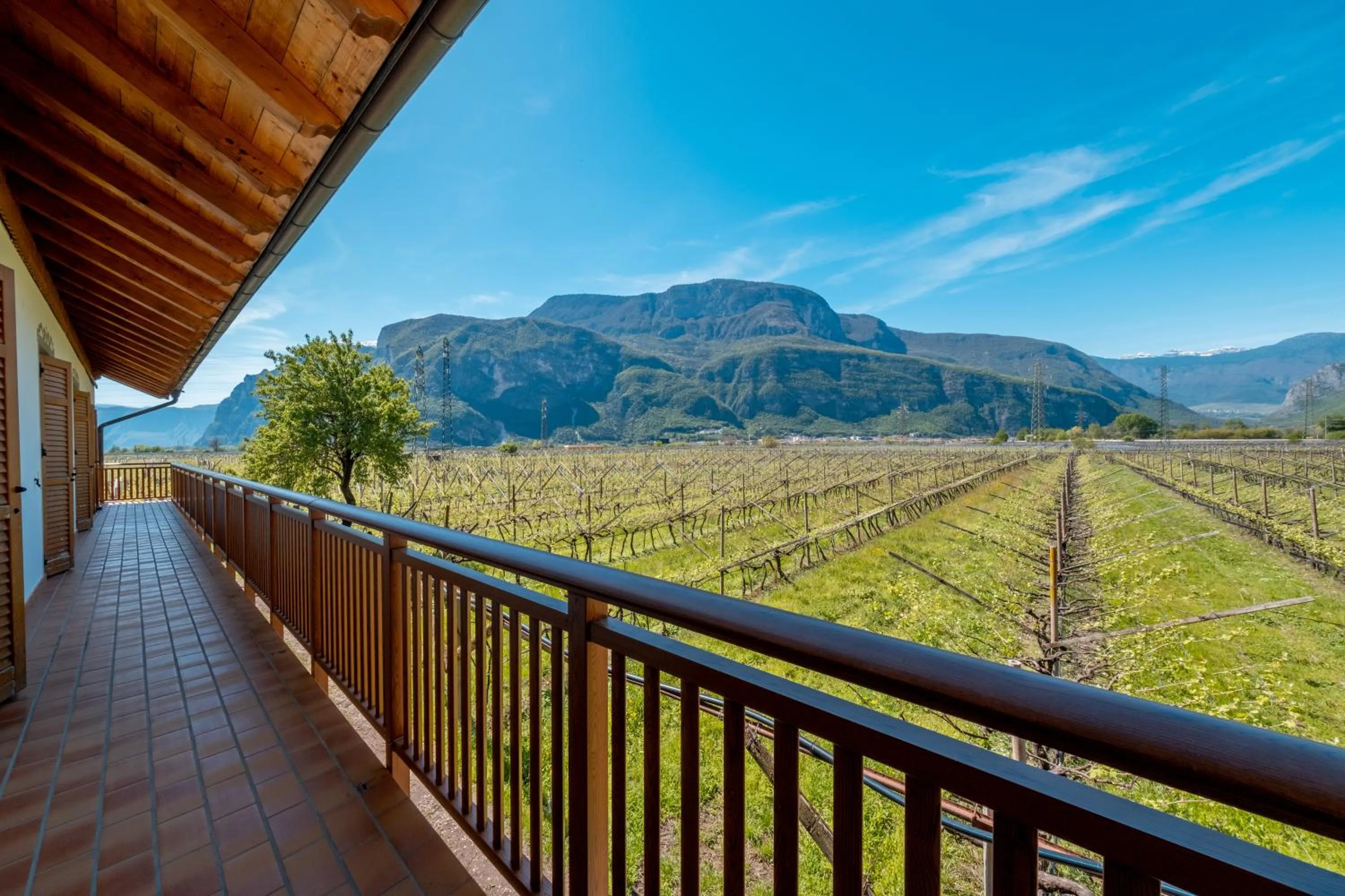 View (from property/room) in Antico Fienile Agritur
