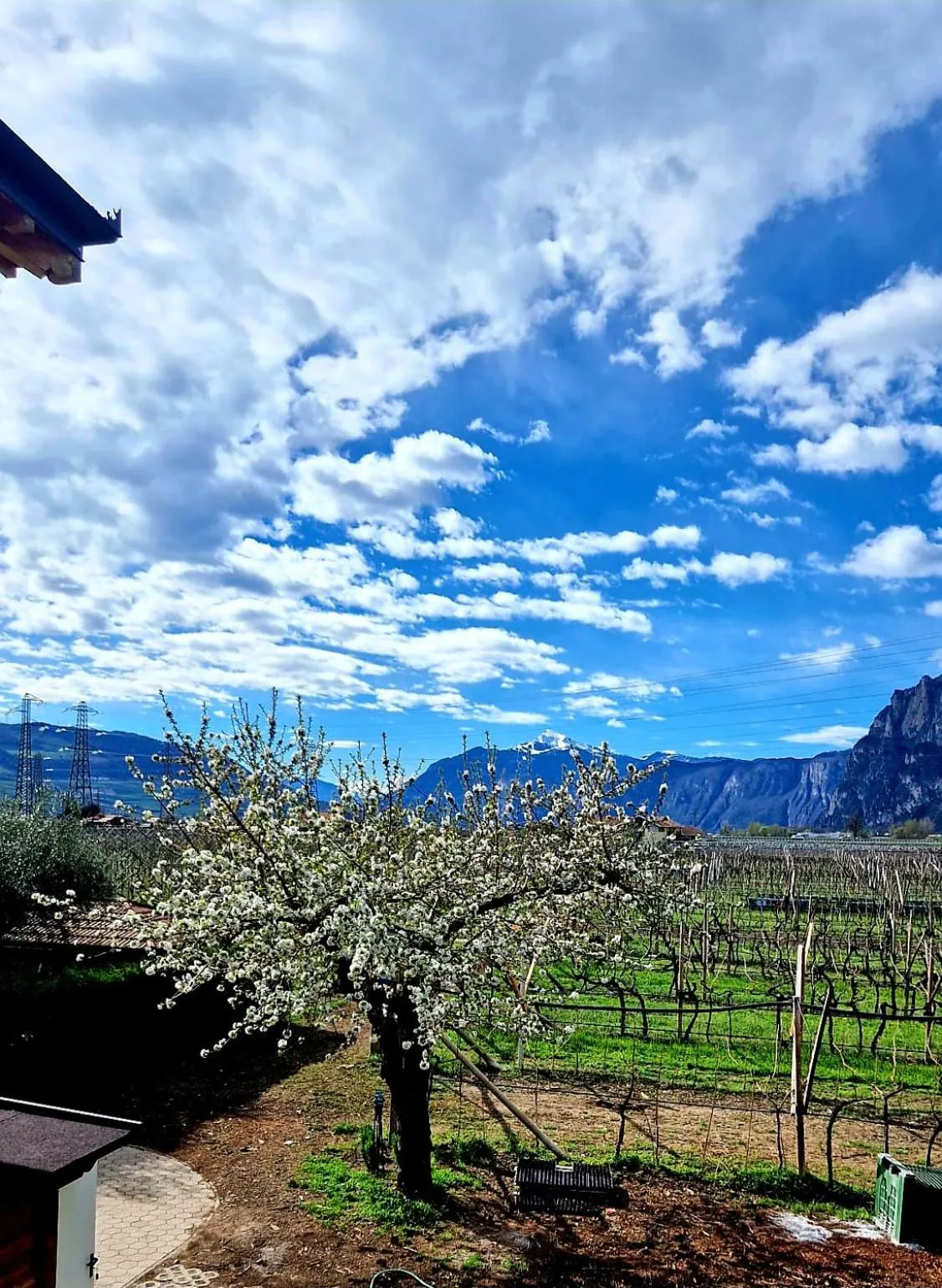 Spring in Antico Fienile Agritur