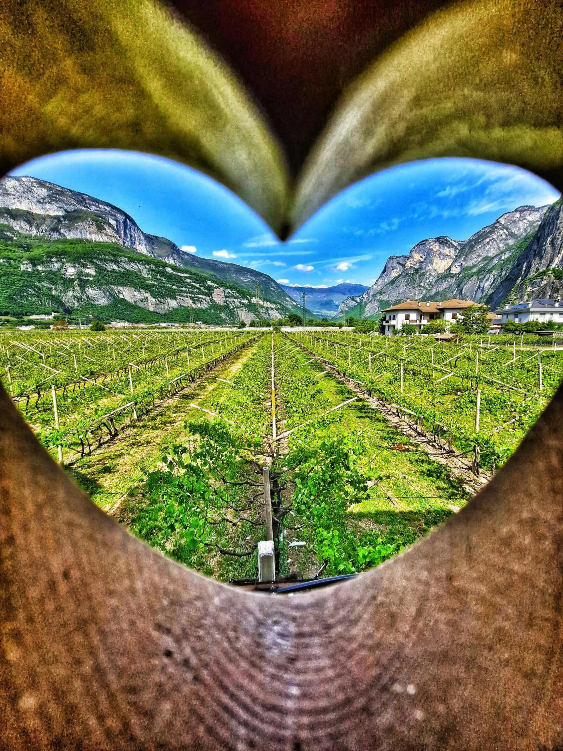 Spring in Antico Fienile Agritur