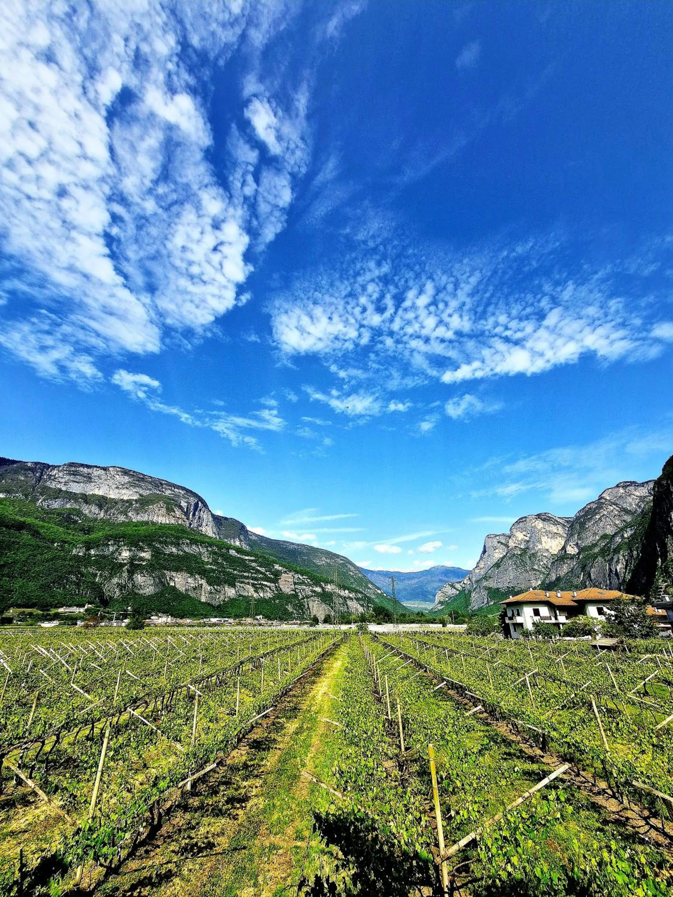 Natural landscape in Antico Fienile Agritur