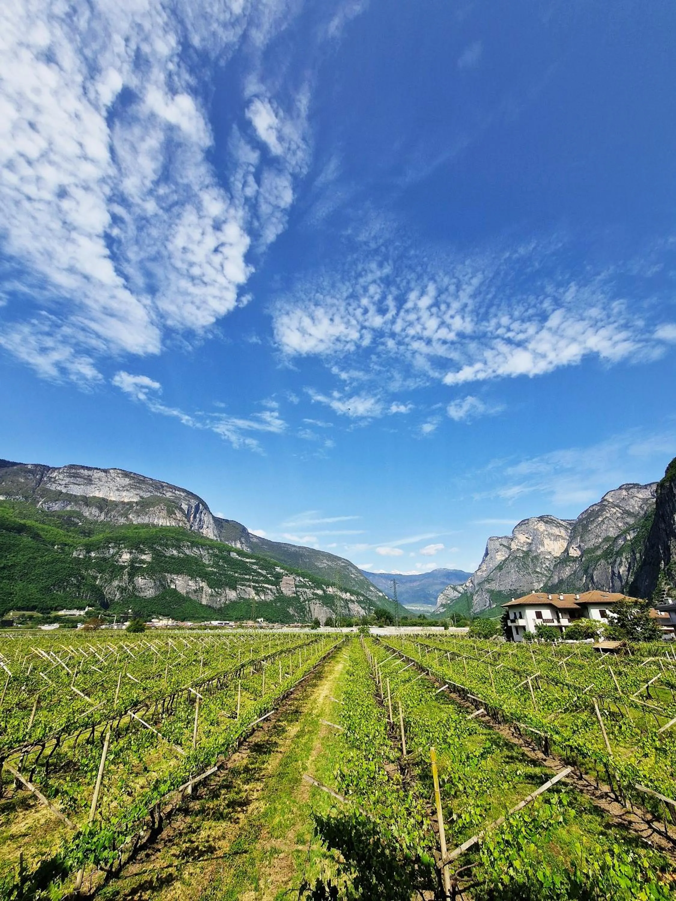 Natural landscape in Antico Fienile Agritur