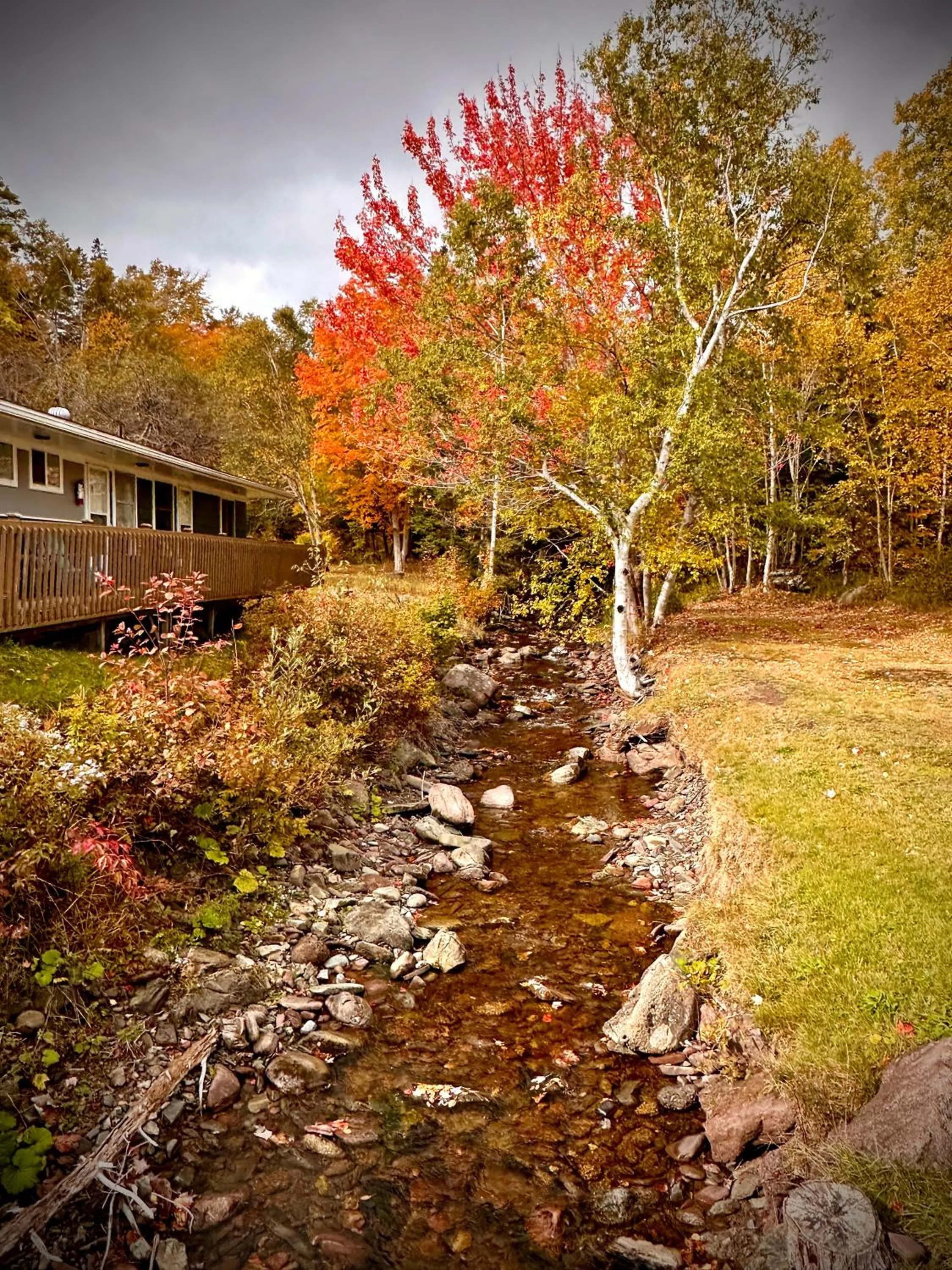 Balcony/Terrace in Aberdeen Motel