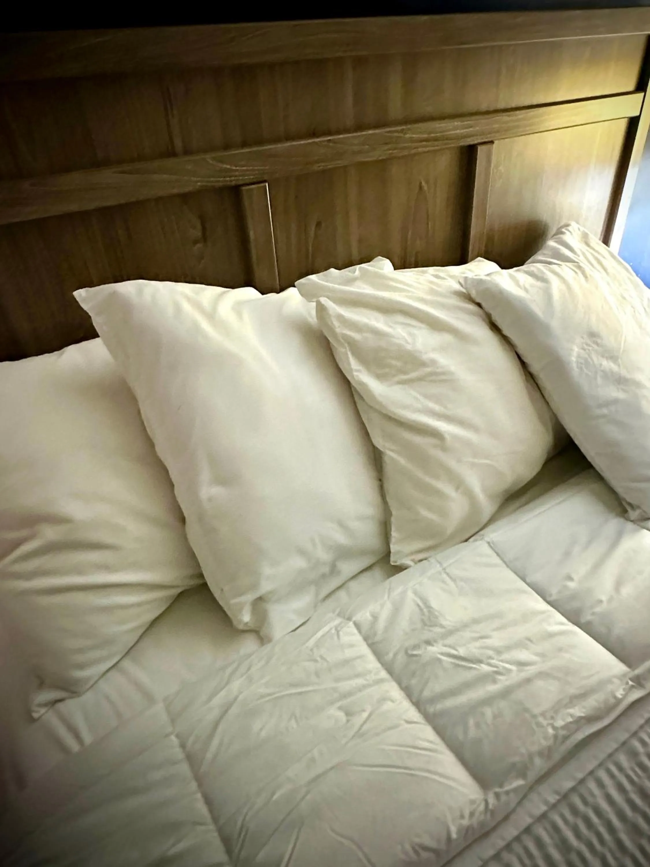 Bed in Aberdeen Motel