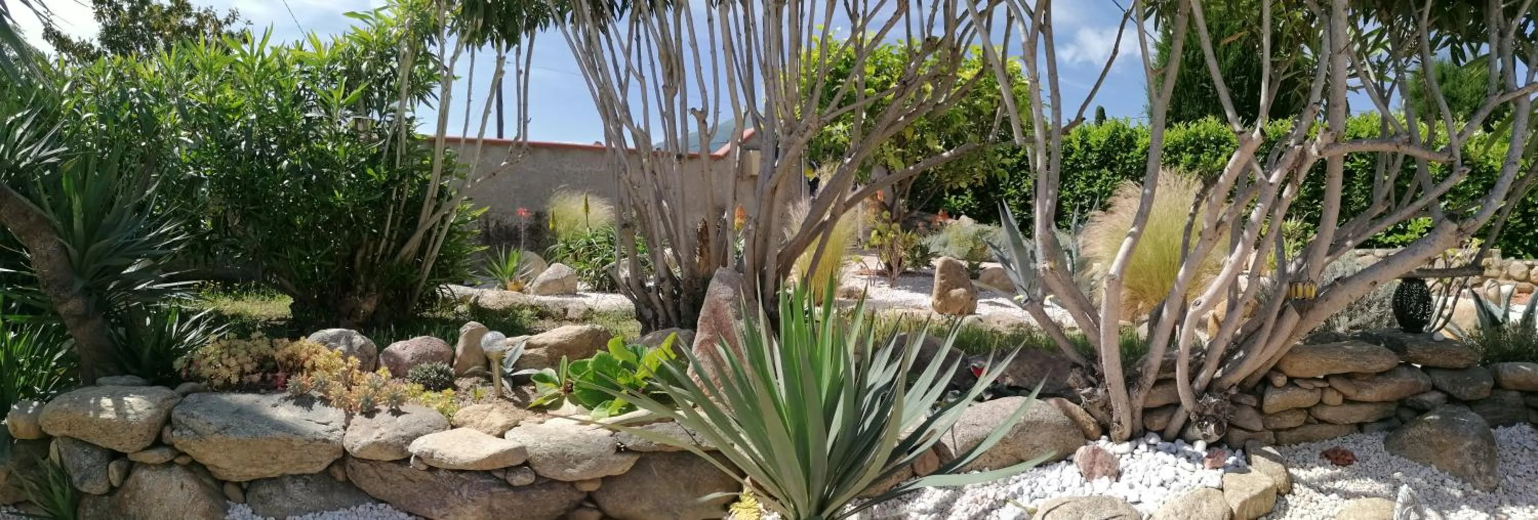 Garden view in La Picholine