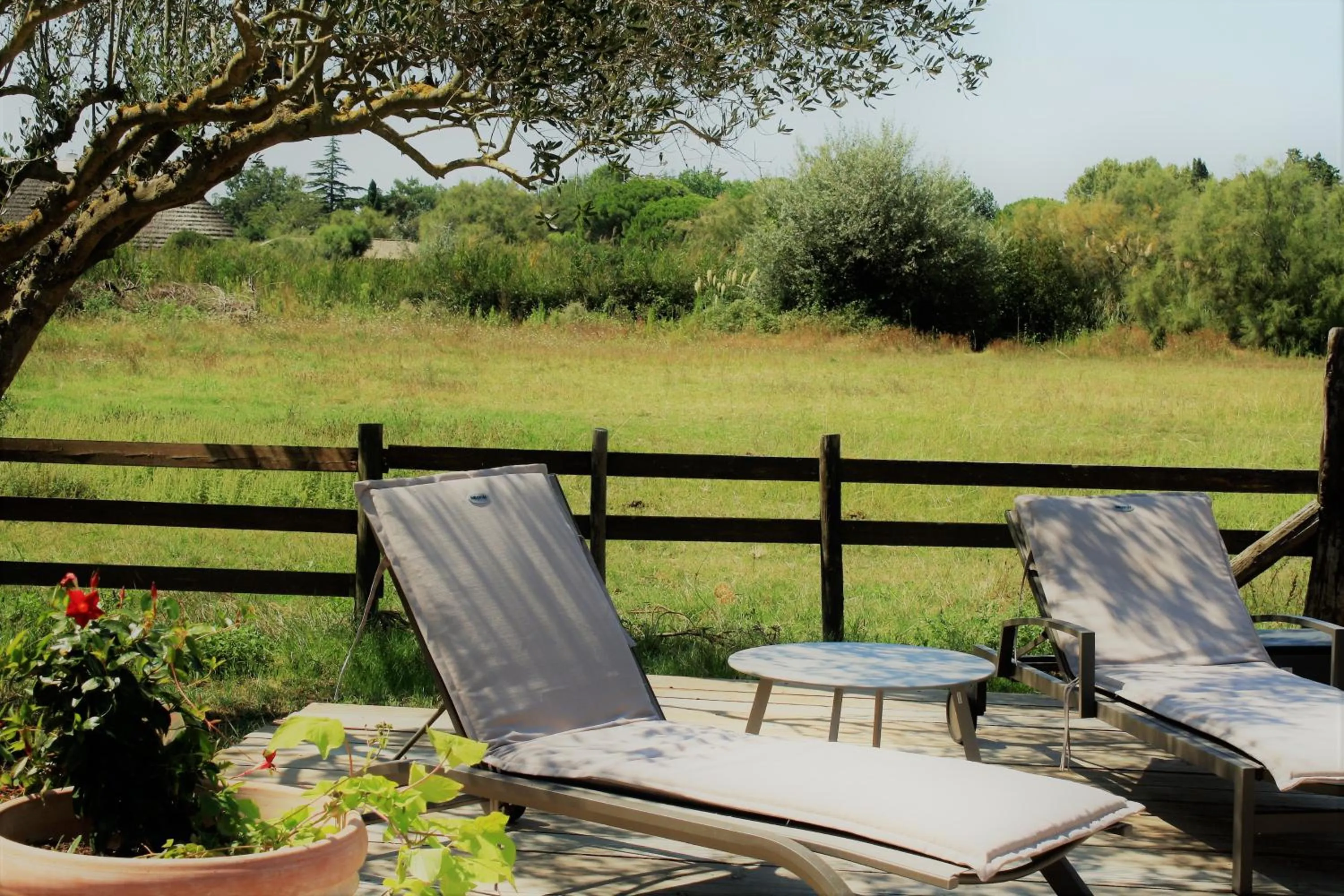 Garden in Mas Fandelou