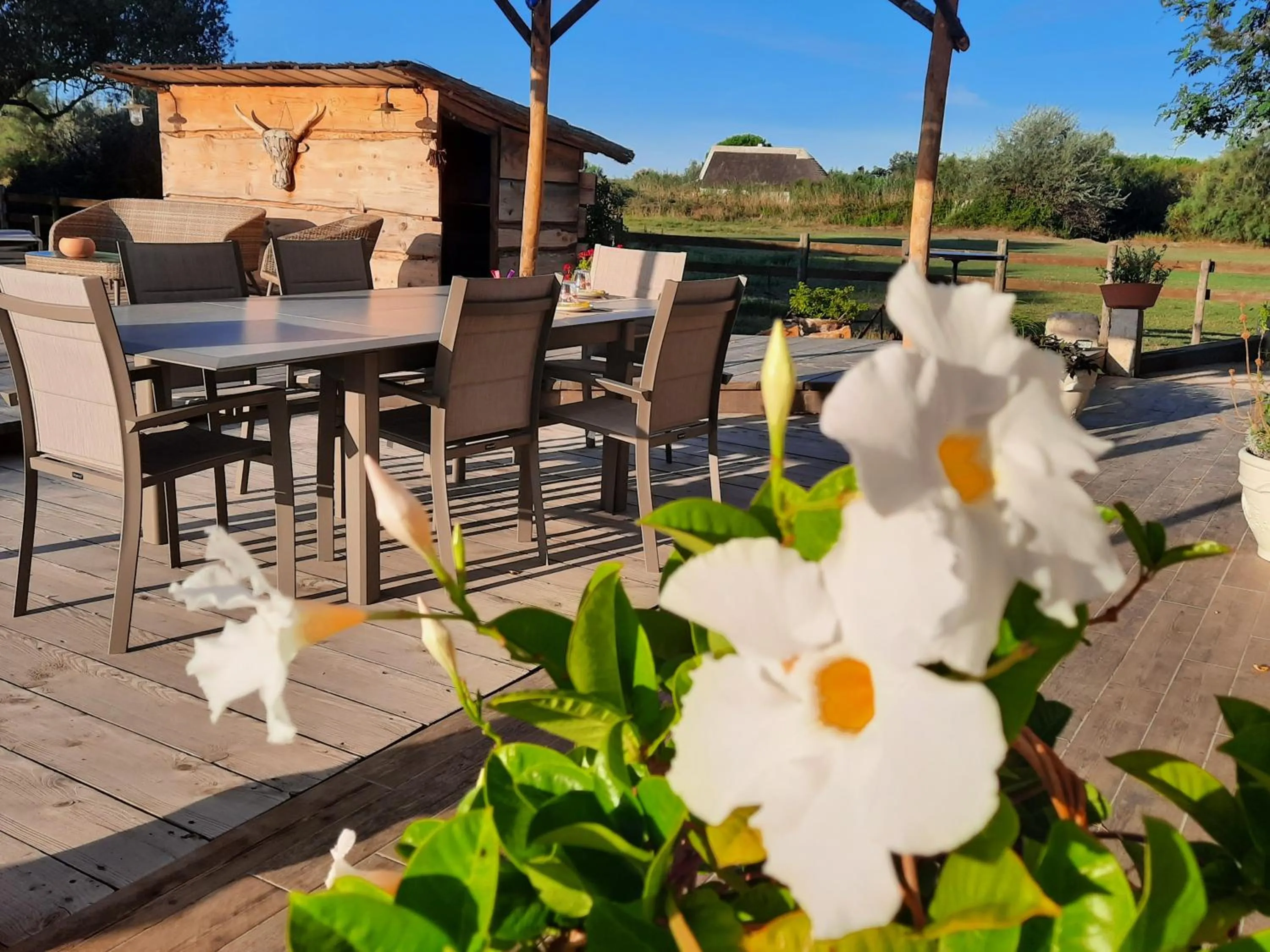 Patio in Mas Fandelou