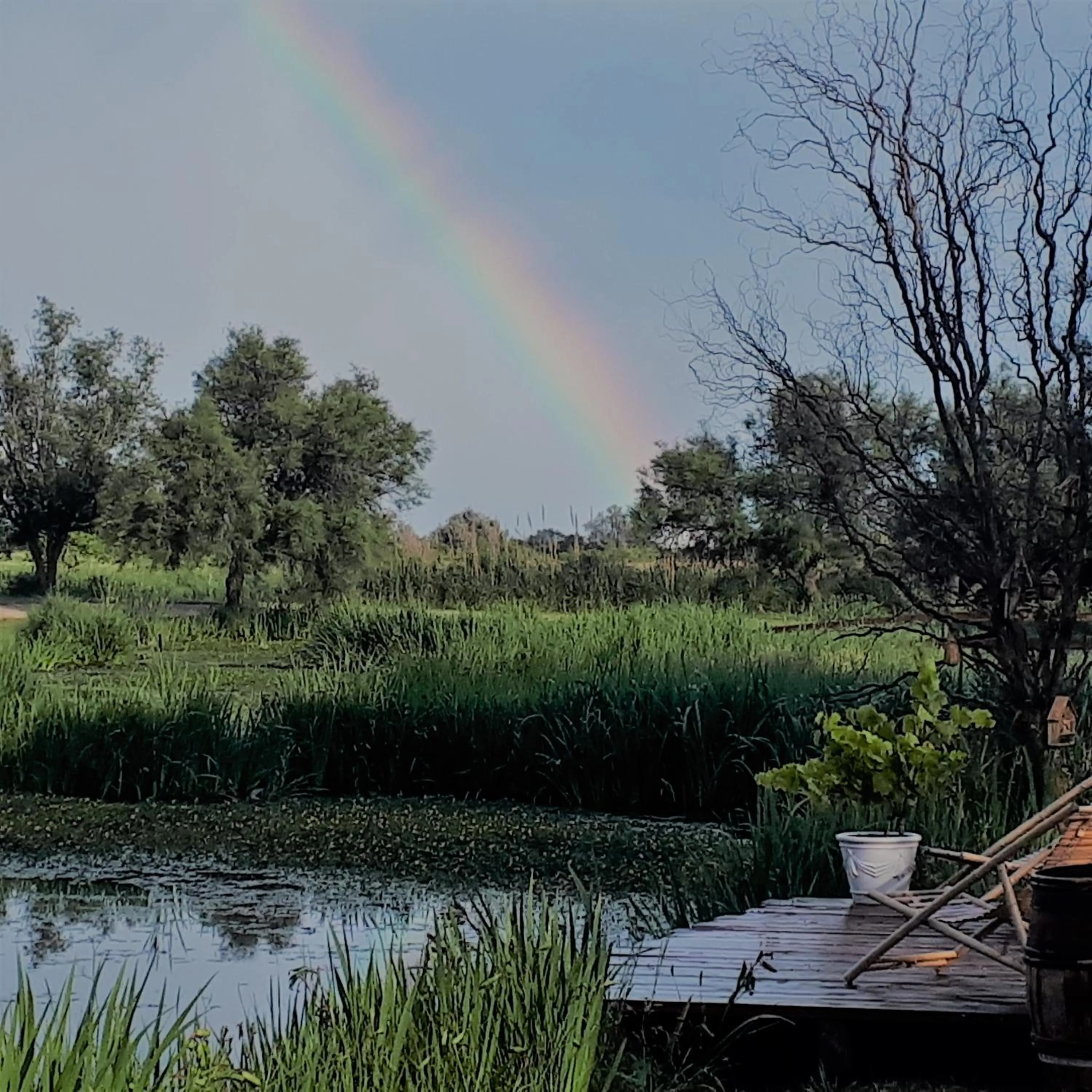 Staff in Mas Fandelou