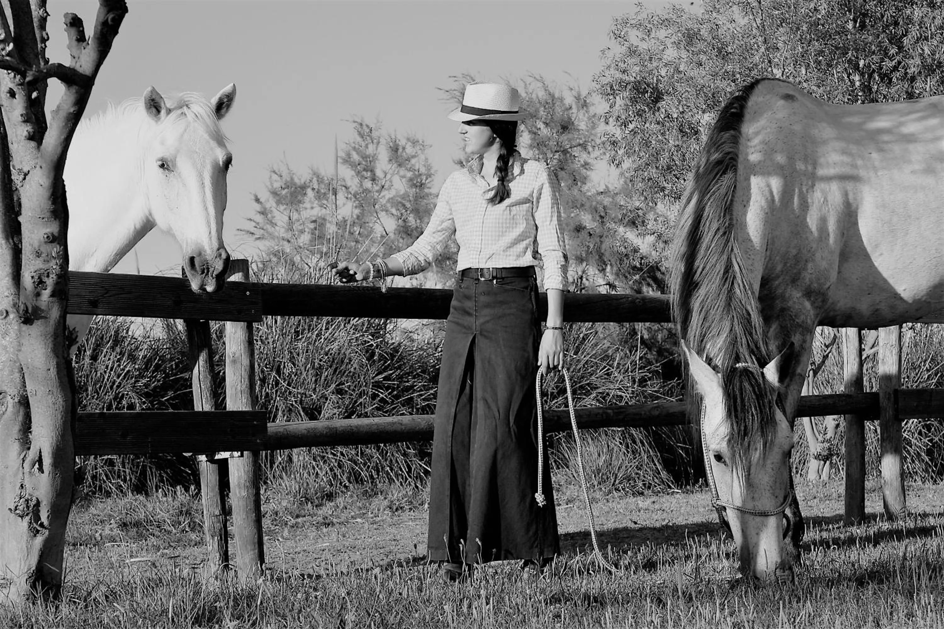 Animals in Mas Fandelou