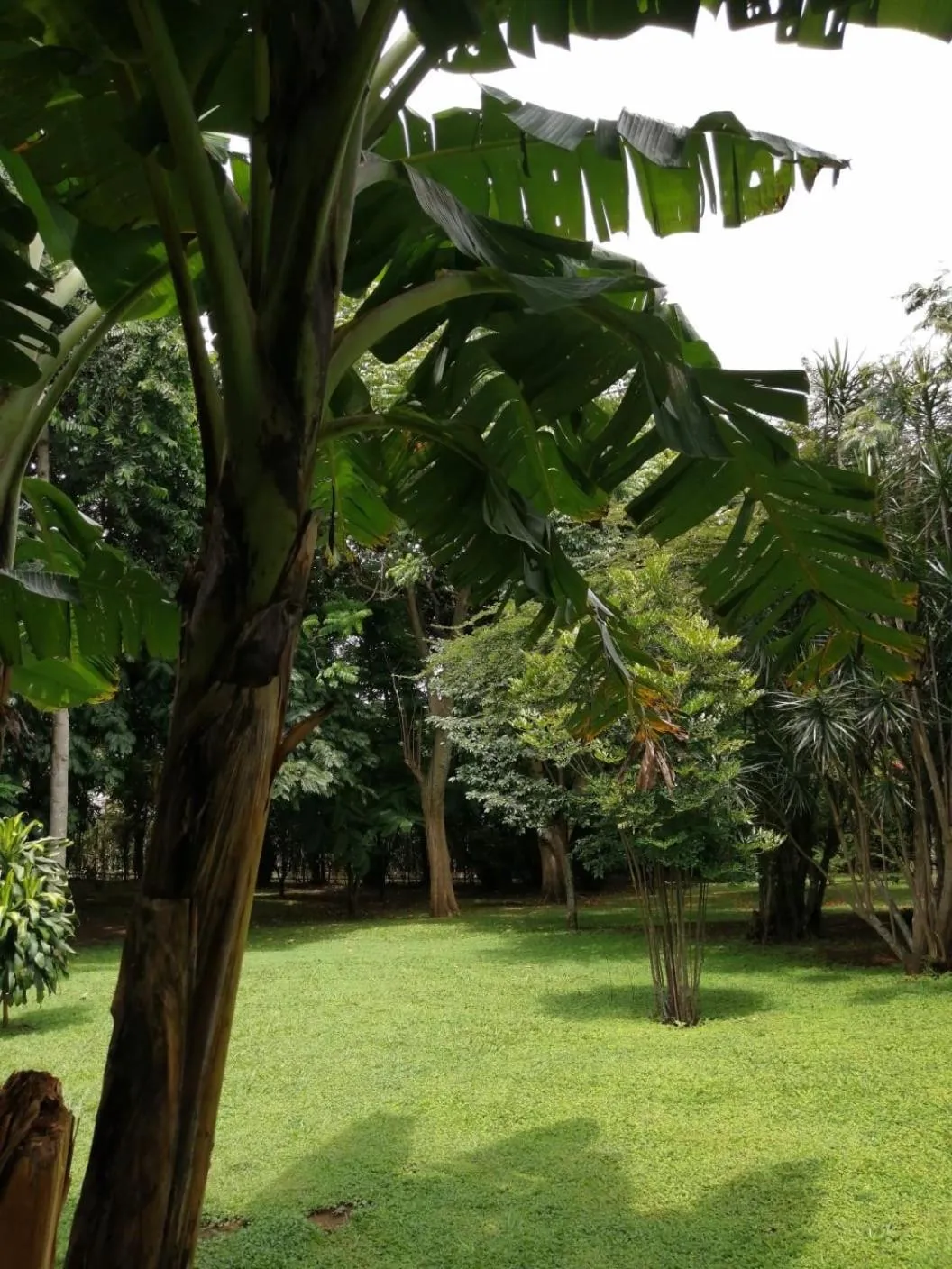 Garden in Trapp Family Country Inn