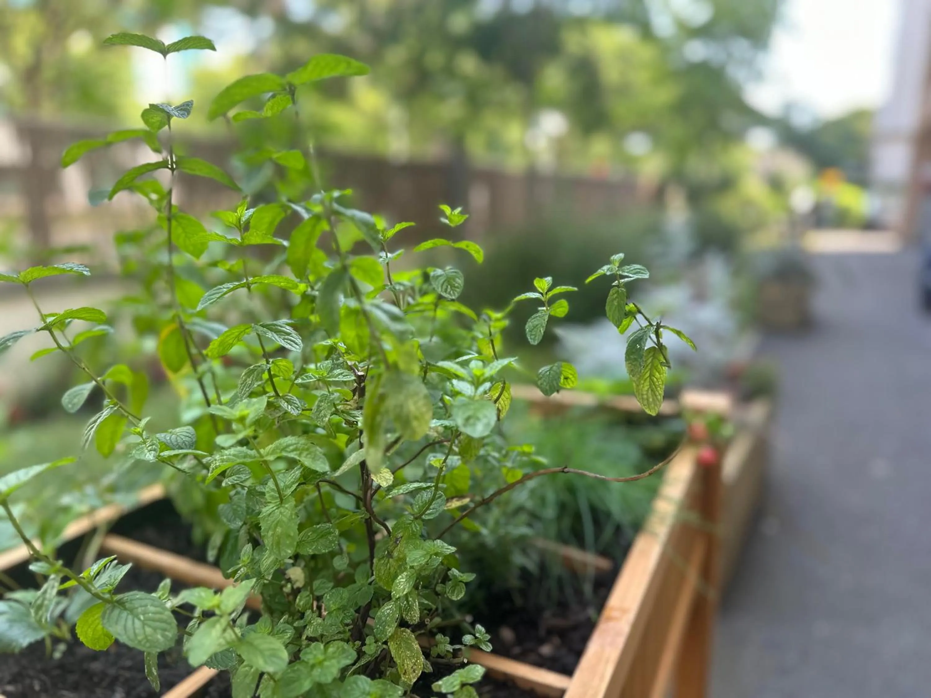 Patio in Première Classe Paris-Ouest Gennevilliers