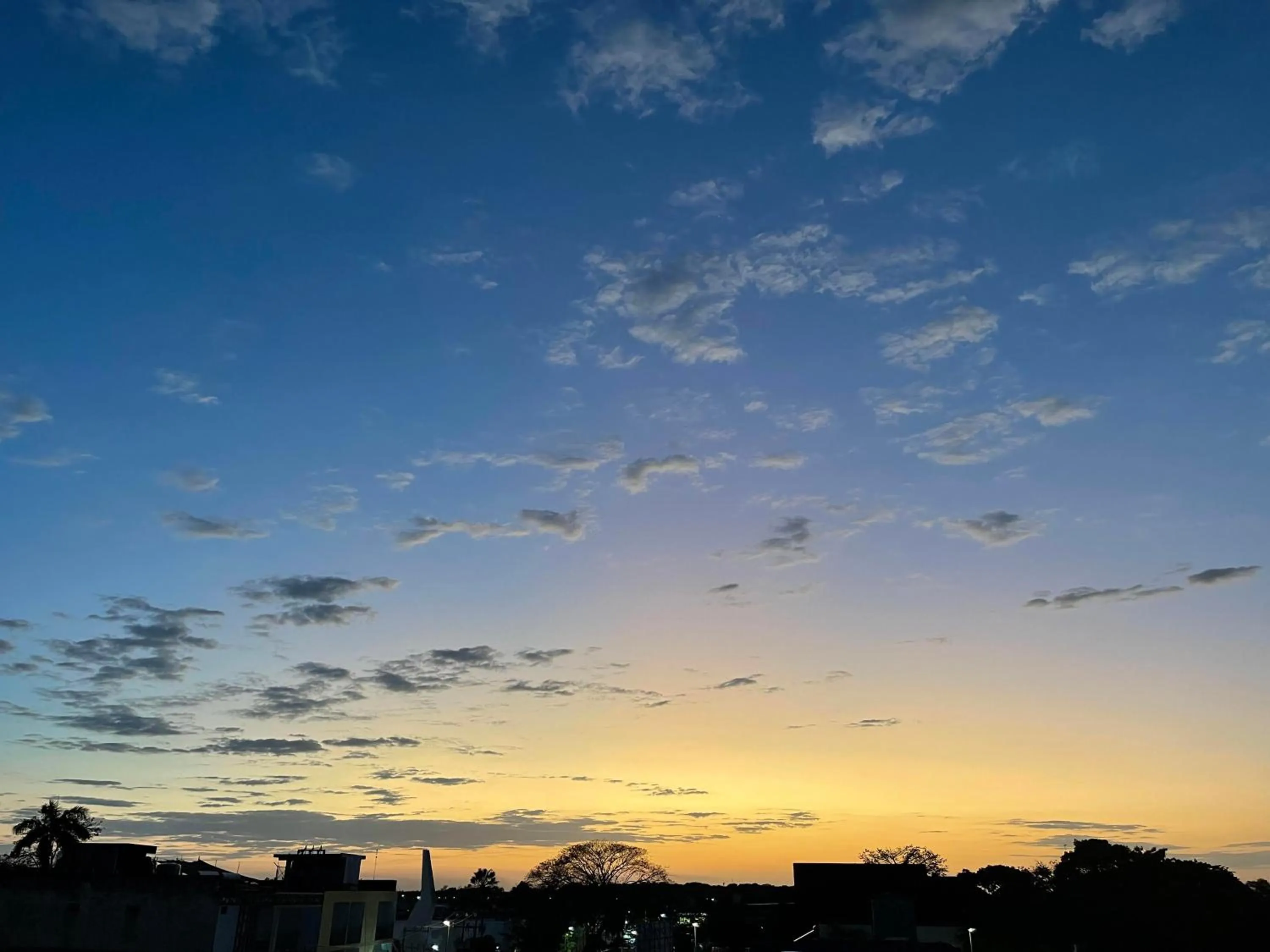 Natural landscape in Hotel Xcalak