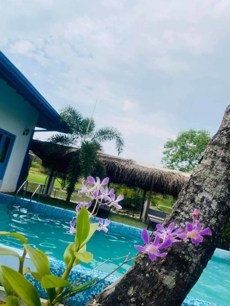 Seth Villa by Magampura Resorts