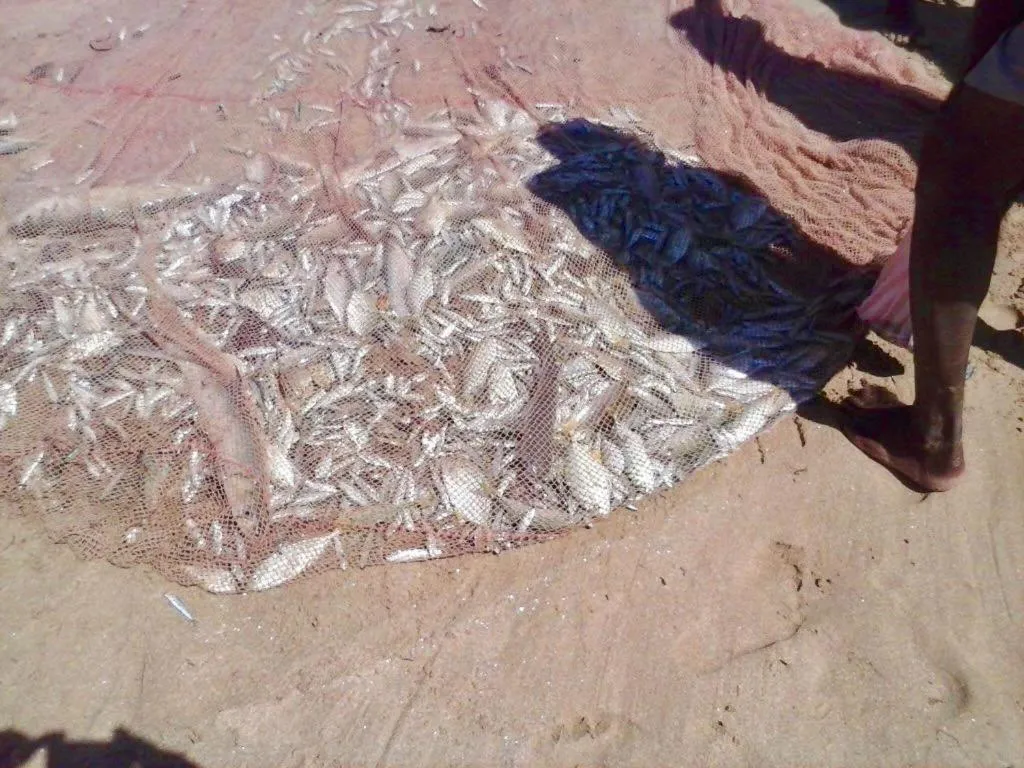 Seth Villa by Magampura Resorts