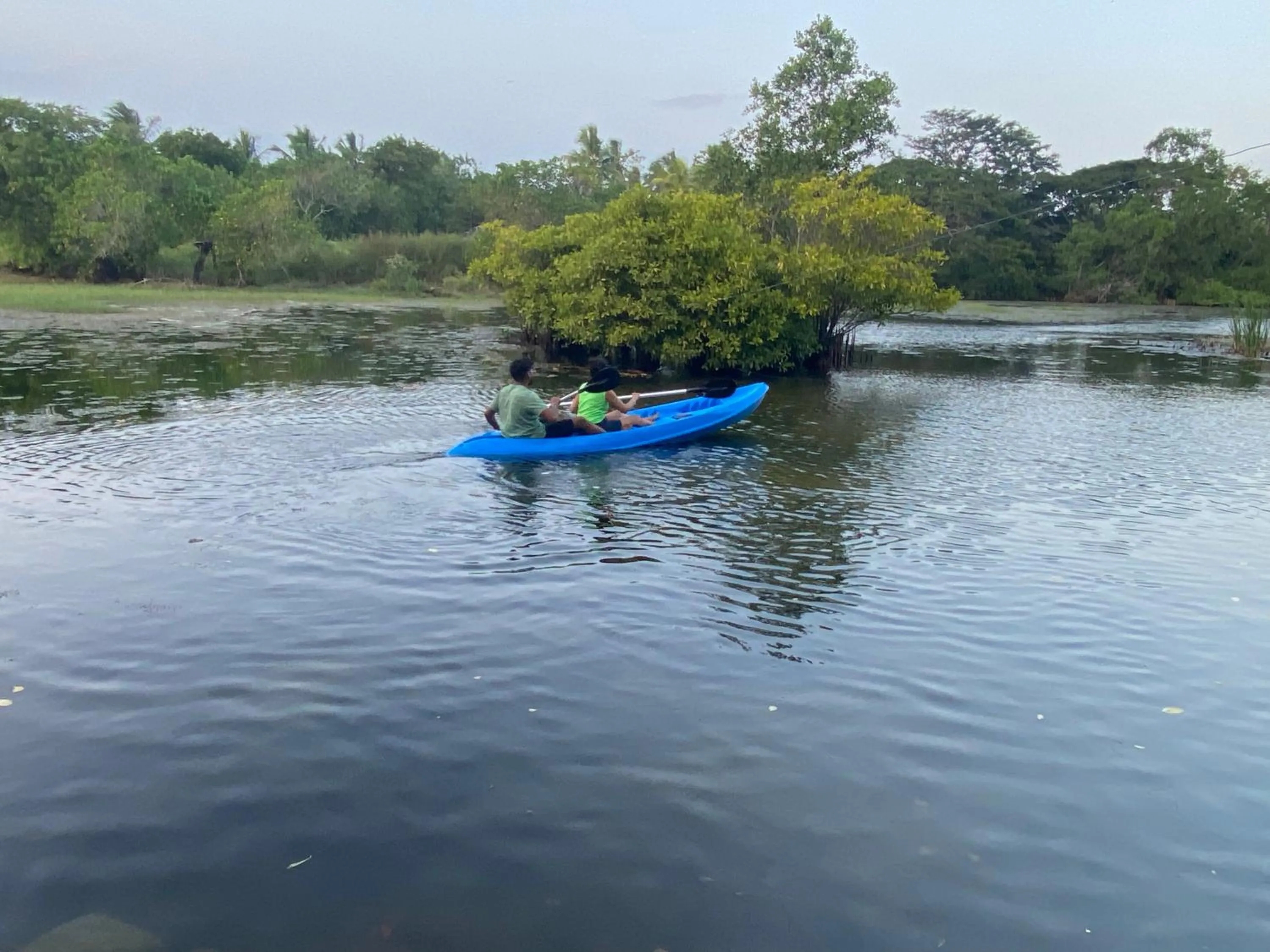 Natural landscape in Seth Villa by Magampura Resorts