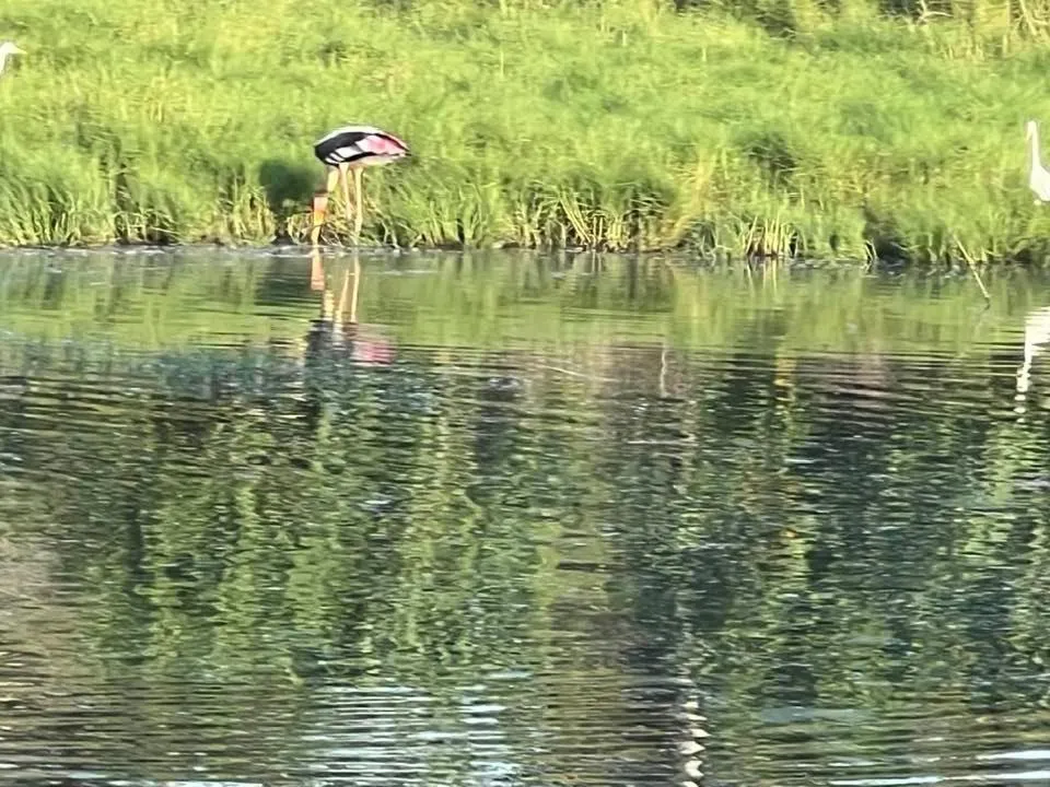 Seth Villa by Magampura Resorts