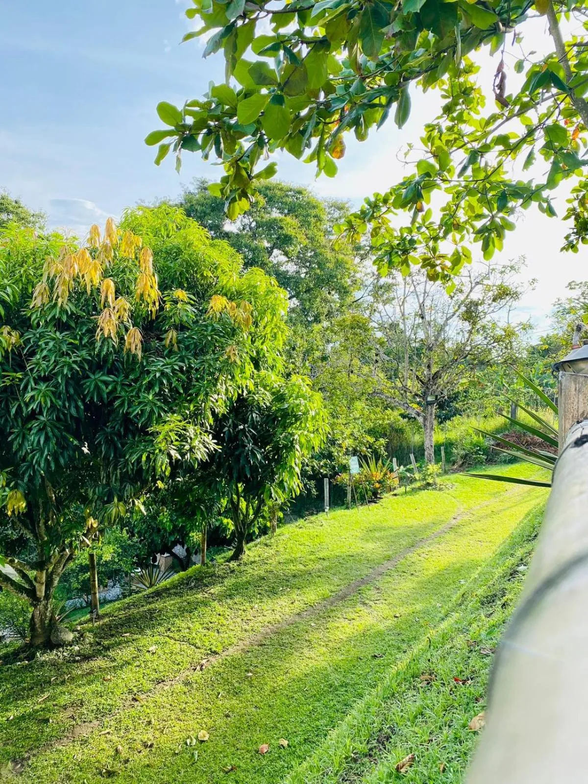 Hotel West California