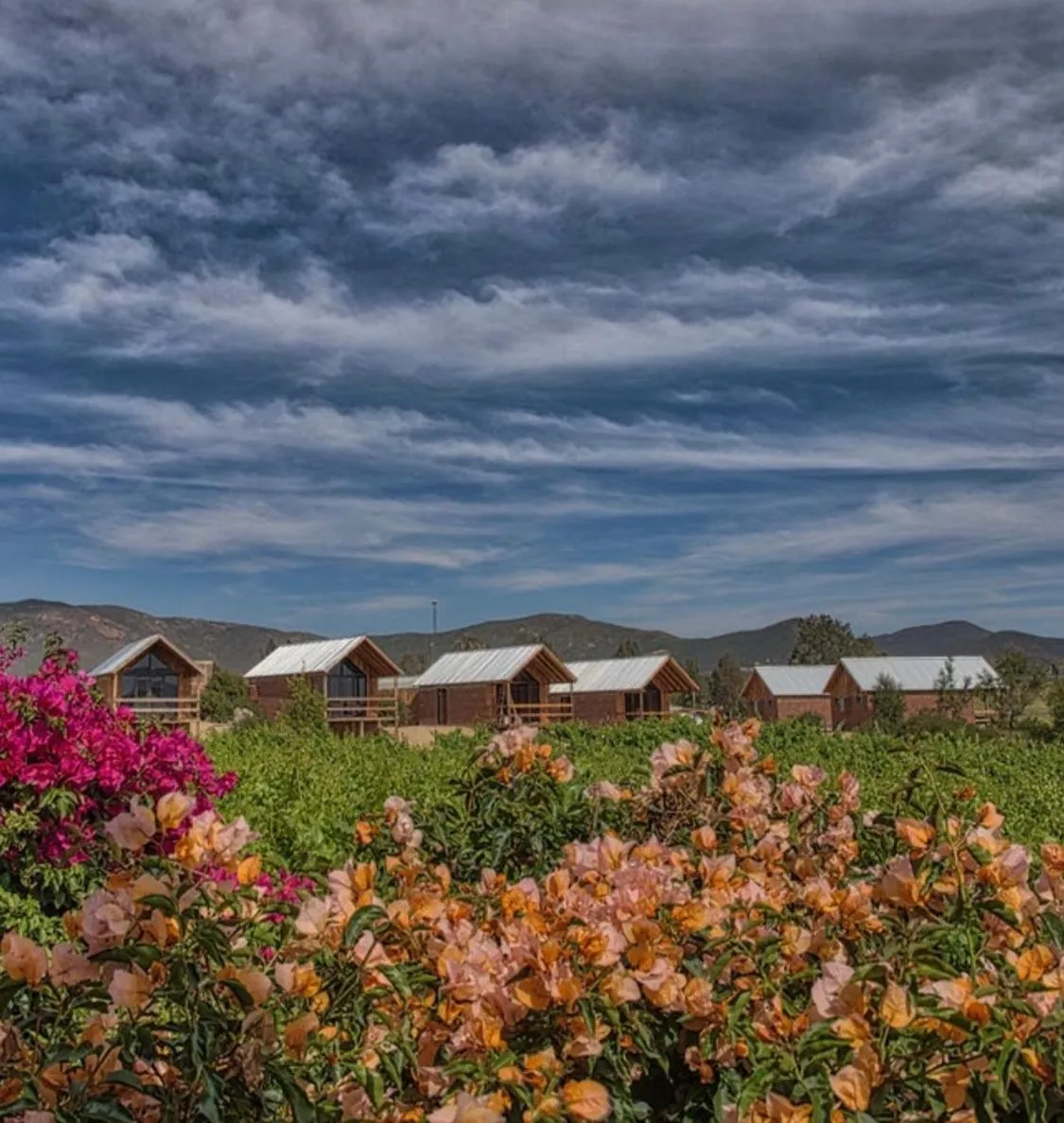 Property building in Don Tomas Viñedo cabañas