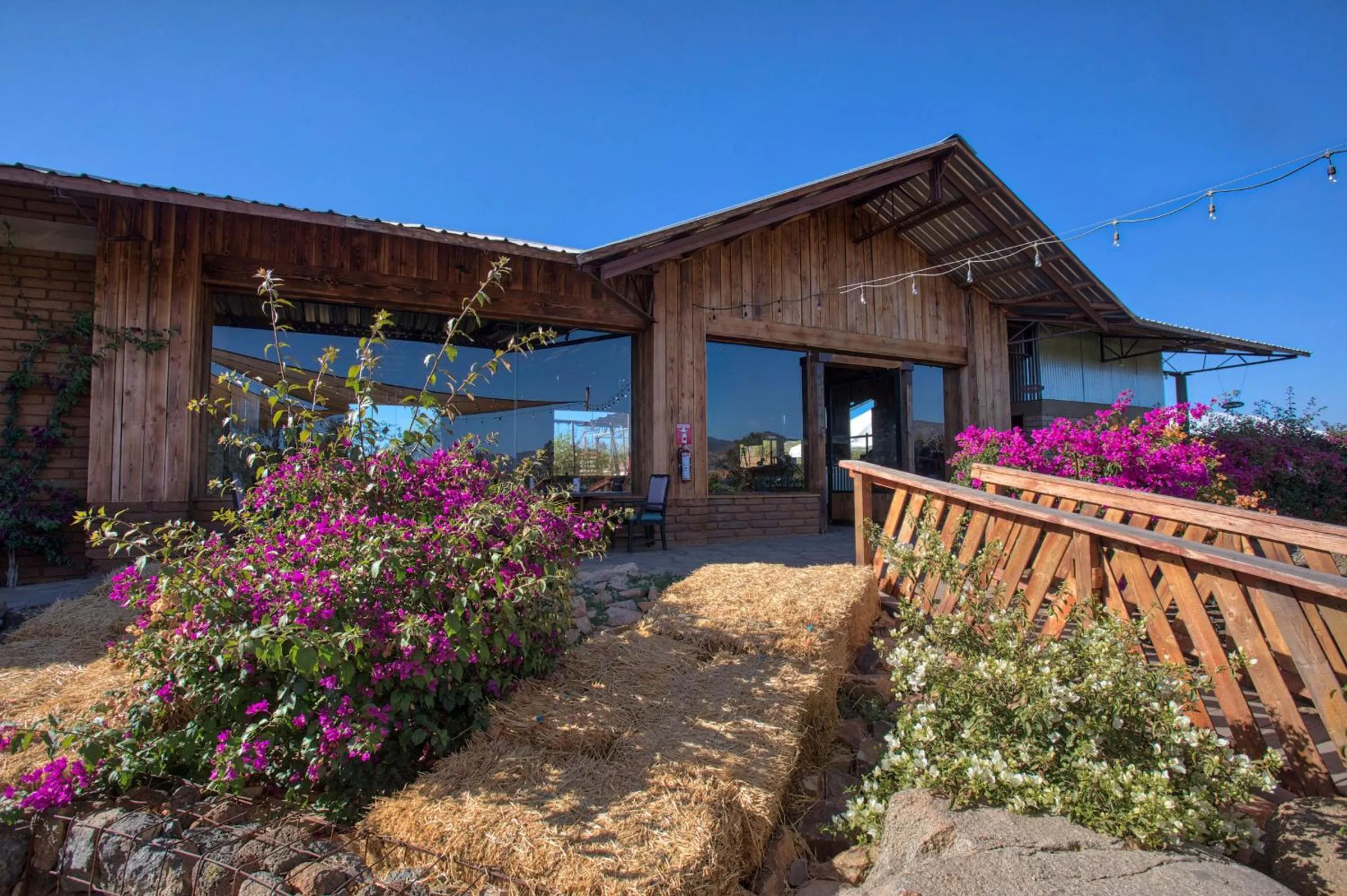 Restaurant/places to eat in Don Tomas Viñedo cabañas