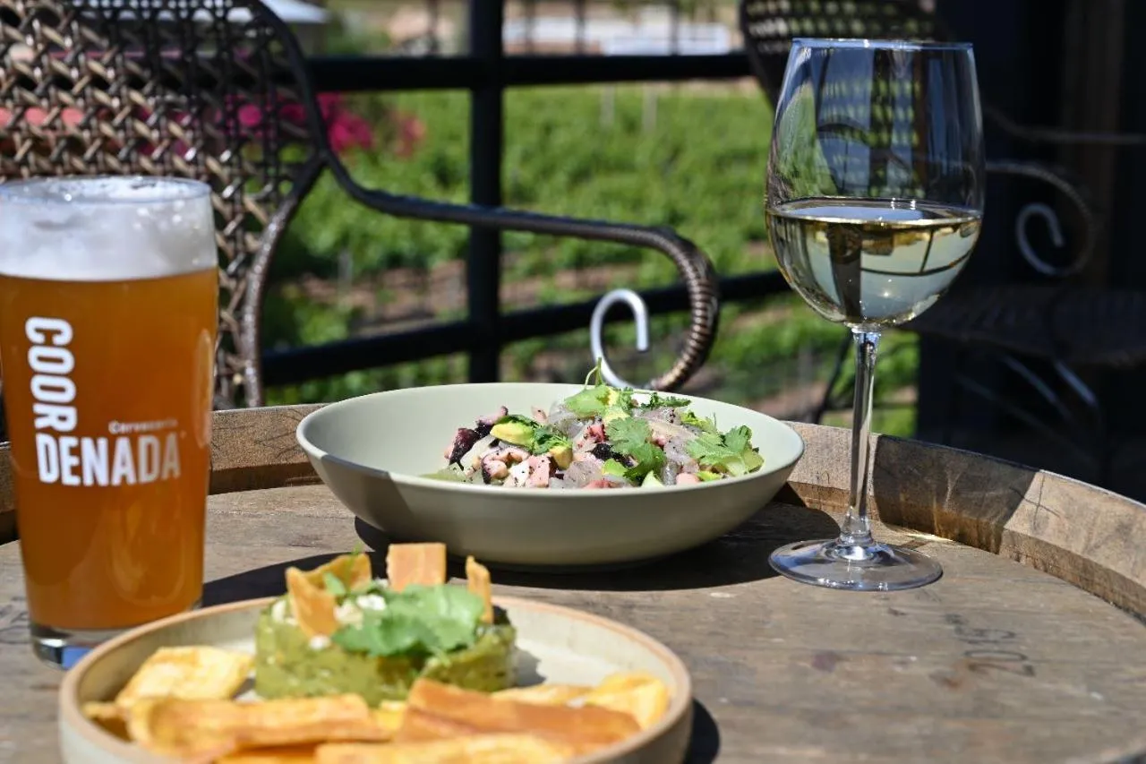 Lounge or bar in Don Tomas Viñedo cabañas