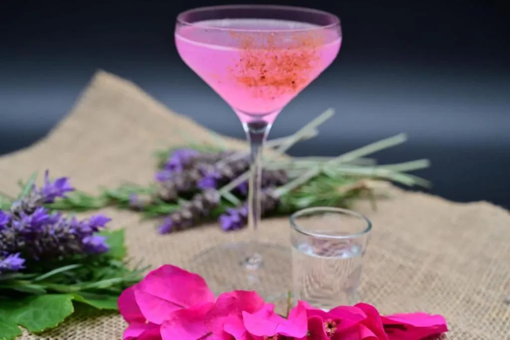 Lounge or bar in Don Tomas Viñedo cabañas