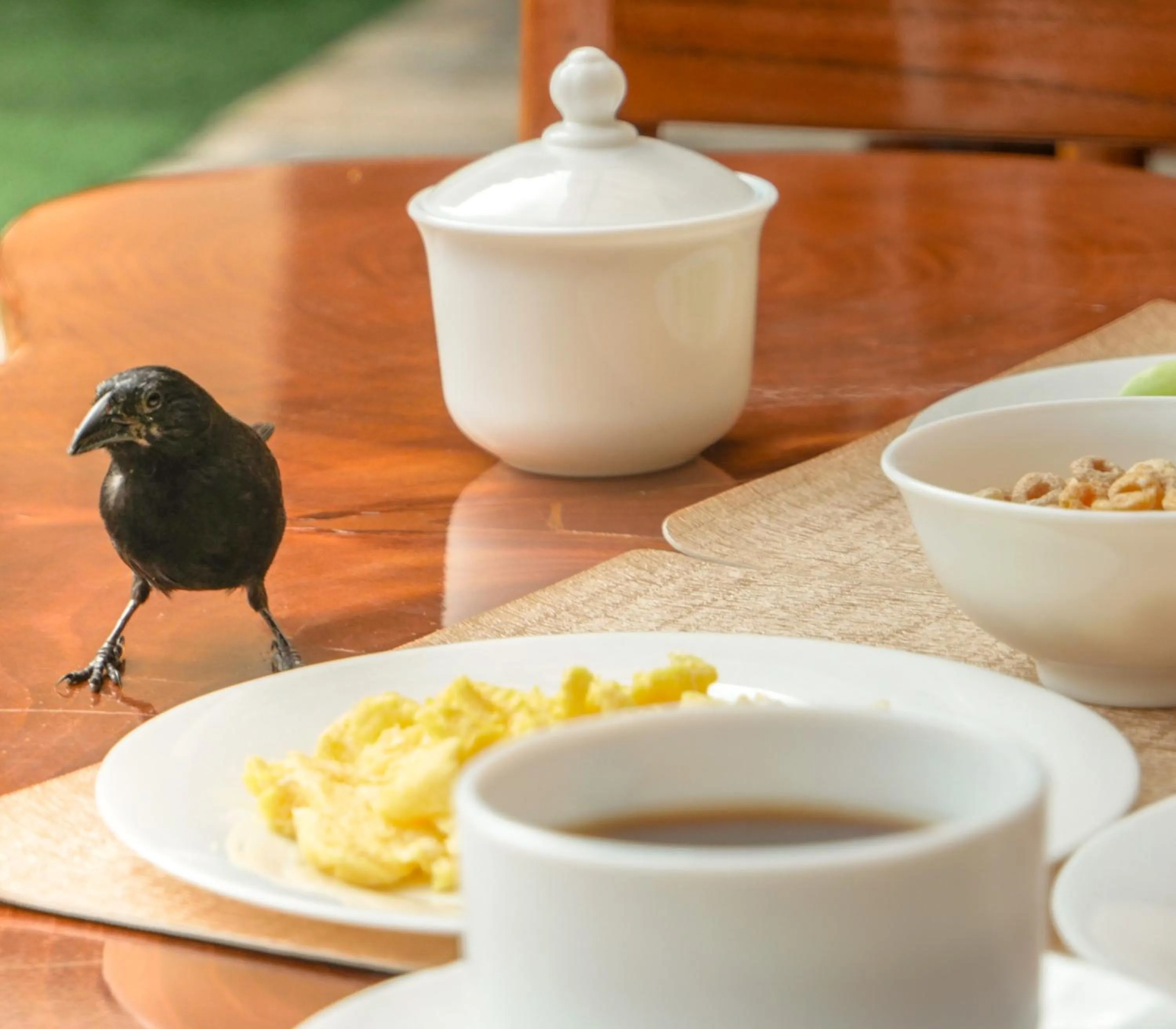 Breakfast in Hostal España