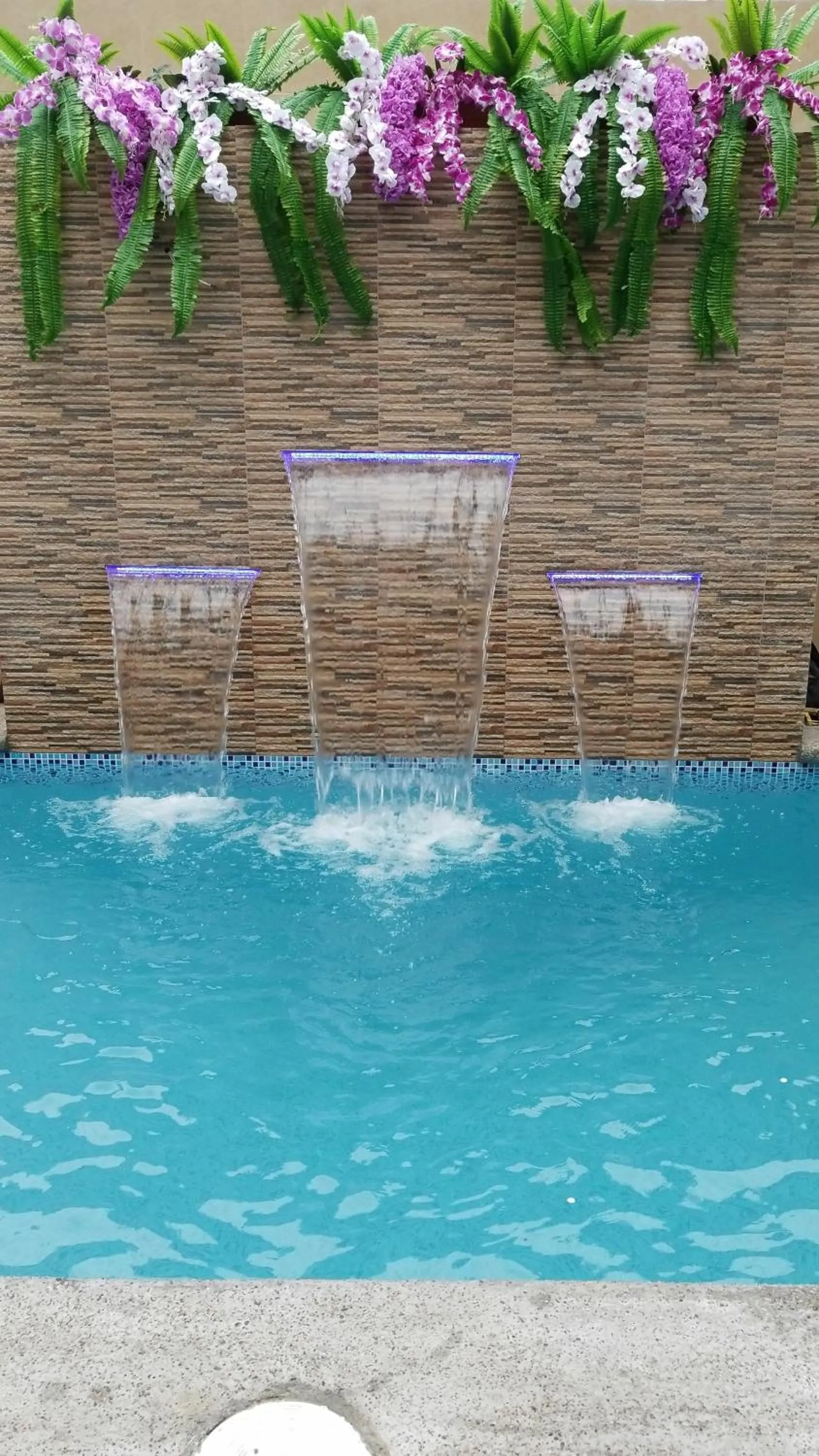 Swimming pool in Hostal España