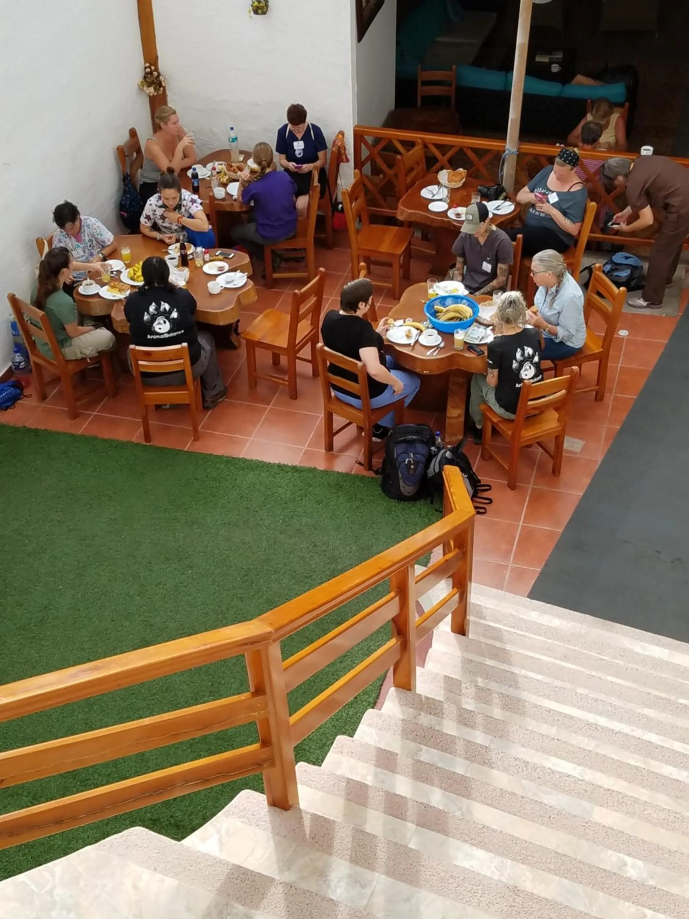 Garden in Hostal España