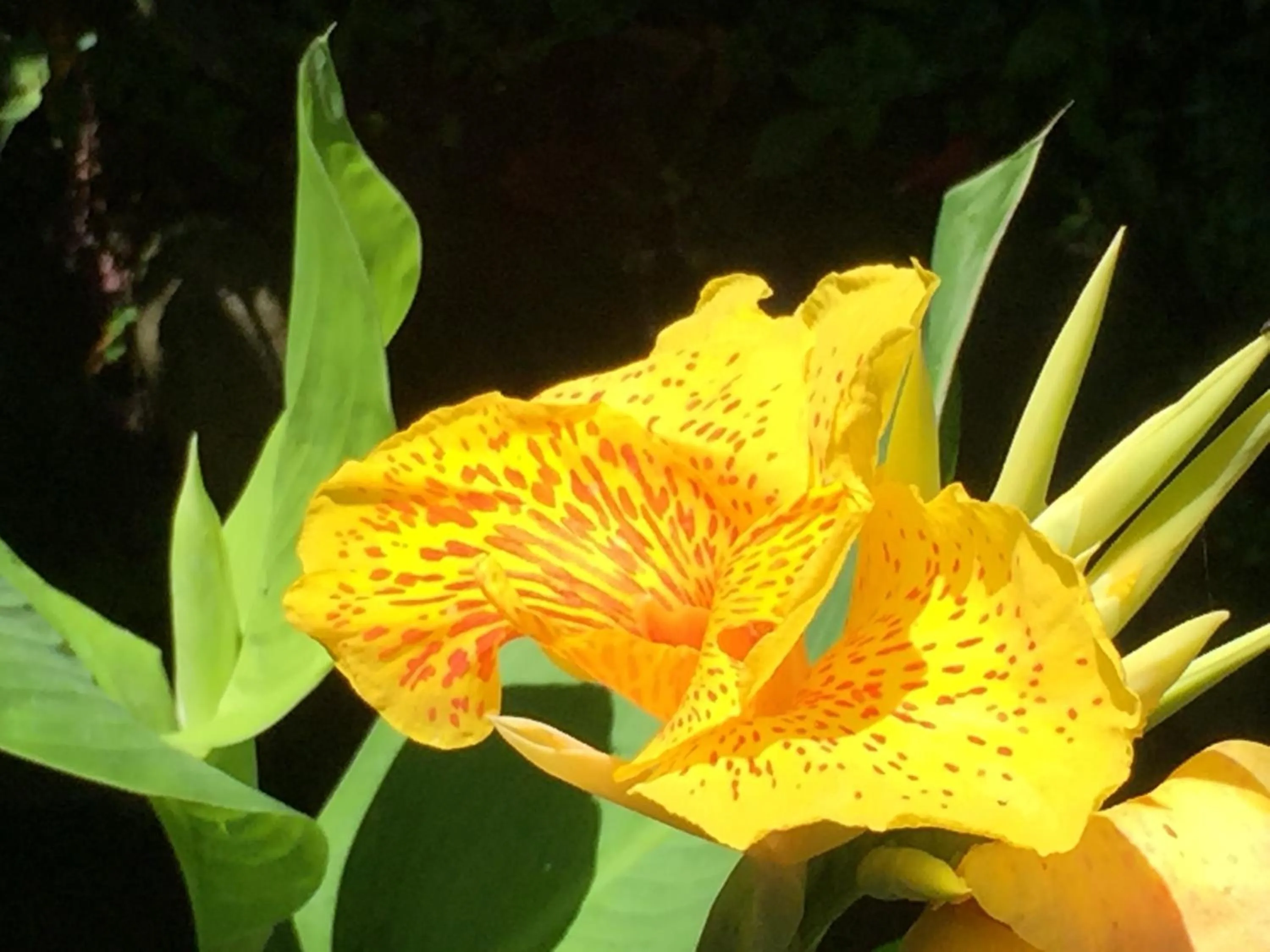 Other in Villa Plawa Asri