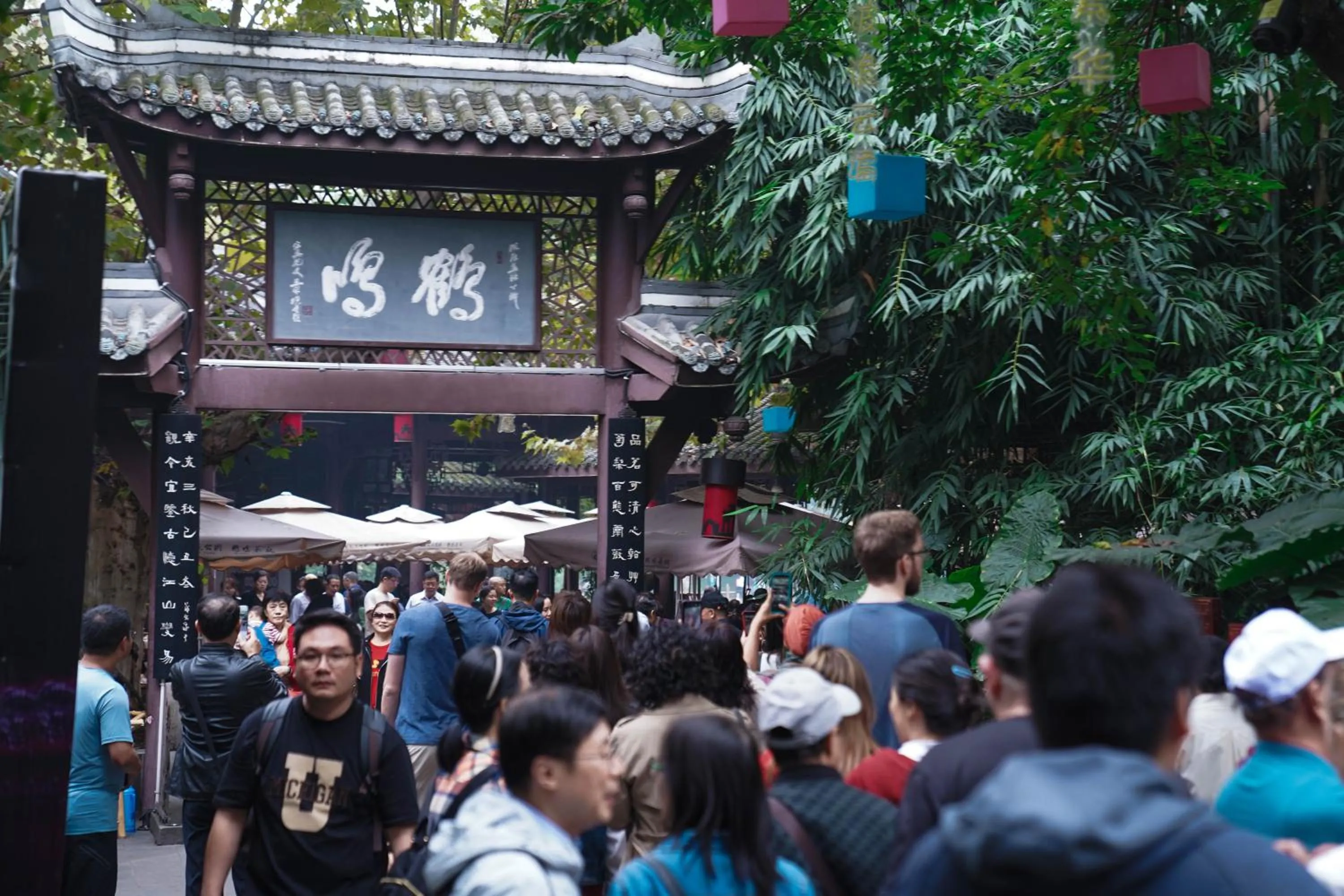 Hiking in Chengdu Mix Hostel - Next To Wenshu Monastery - Sichuan Style Chill & Social Courtyard House - Free Activities - Friendly English Speaking Staff - Tibet, Panda, Buddha & Snow Mountain Tours