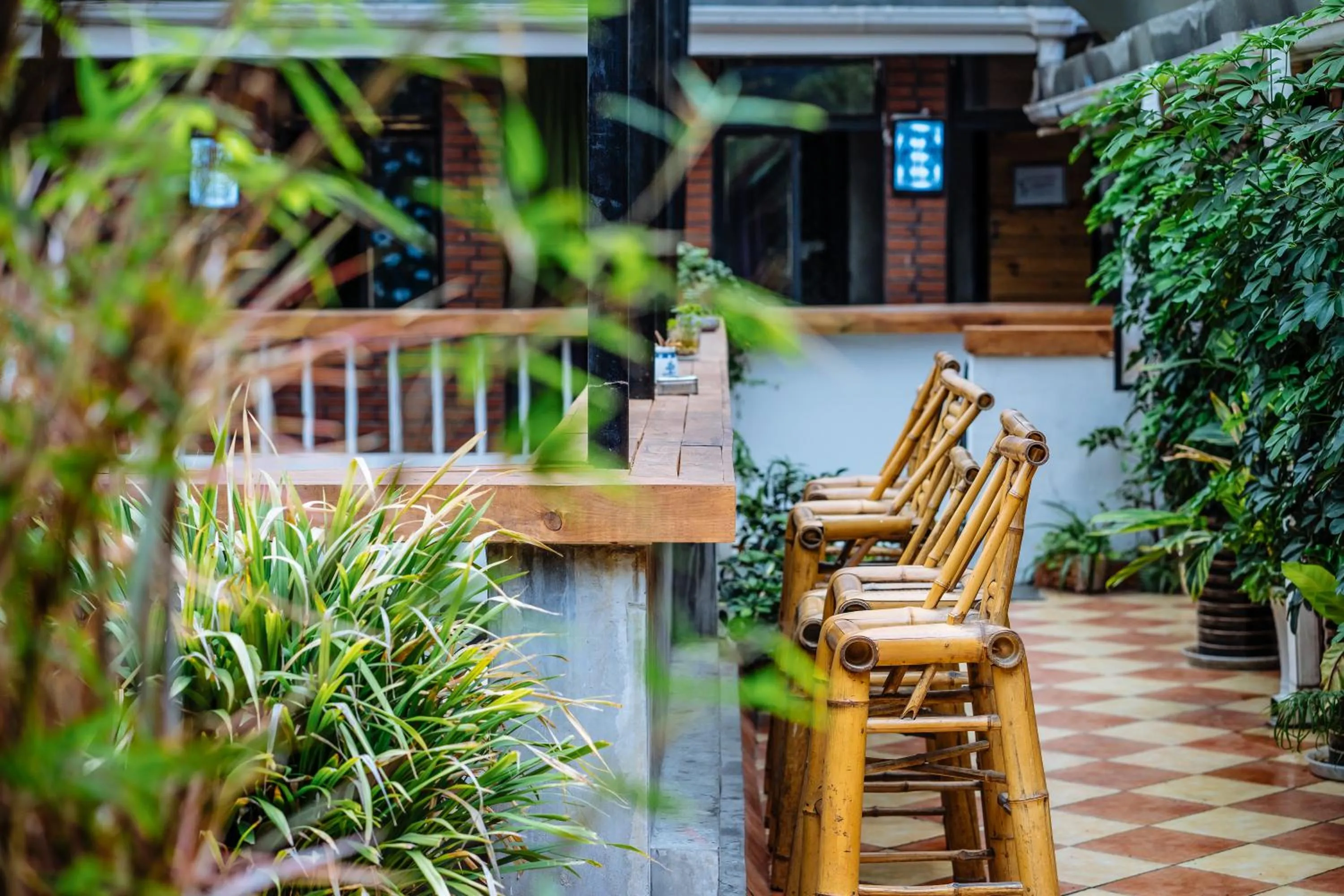 Garden in Chengdu Mix Hostel - Next To Wenshu Monastery - Sichuan Style Chill & Social Courtyard House - Free Activities - Friendly English Speaking Staff - Tibet, Panda, Buddha & Snow Mountain Tours