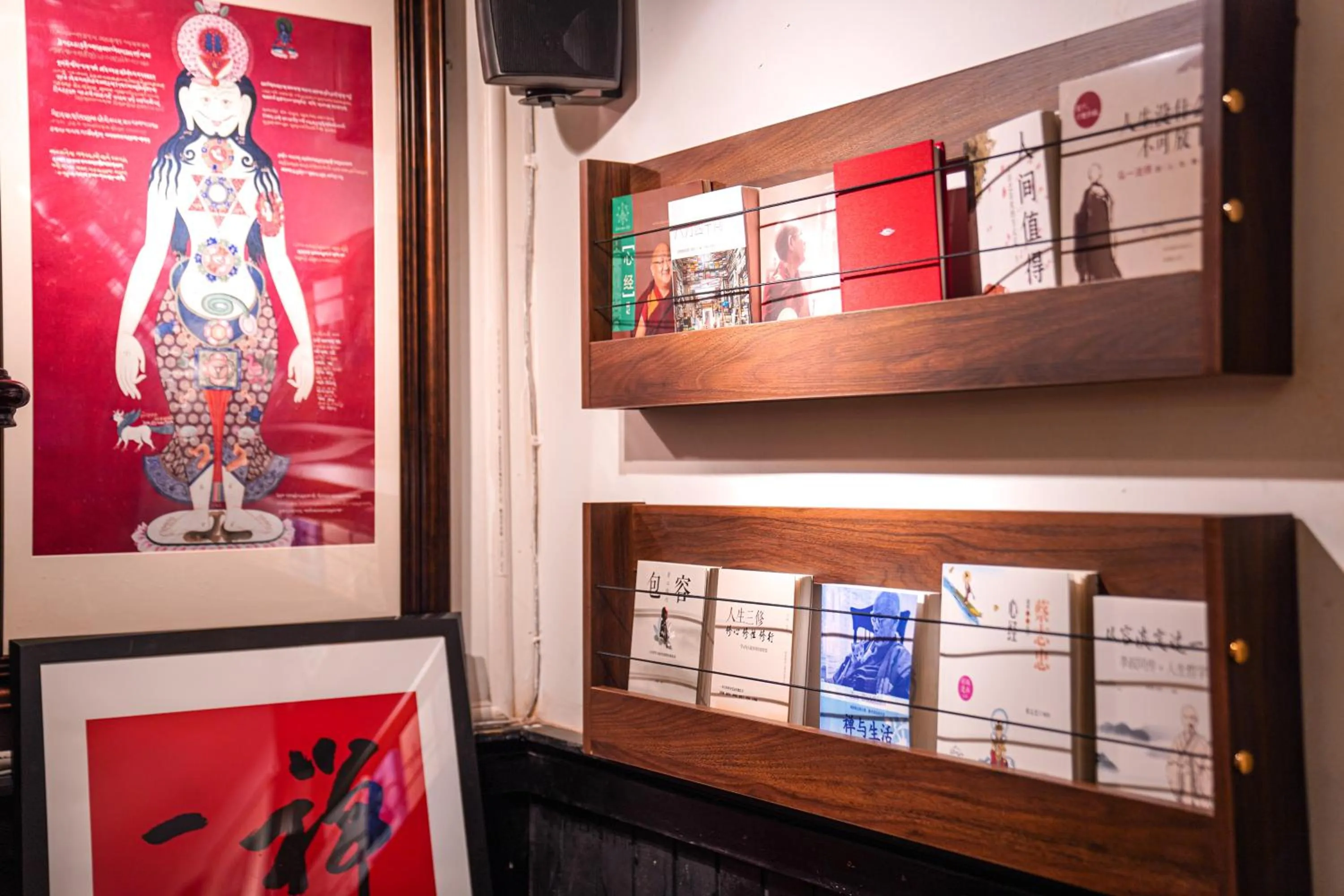 Library in POSHPACKER - Chengdu Mix Hostel - Cicada Zen Yard