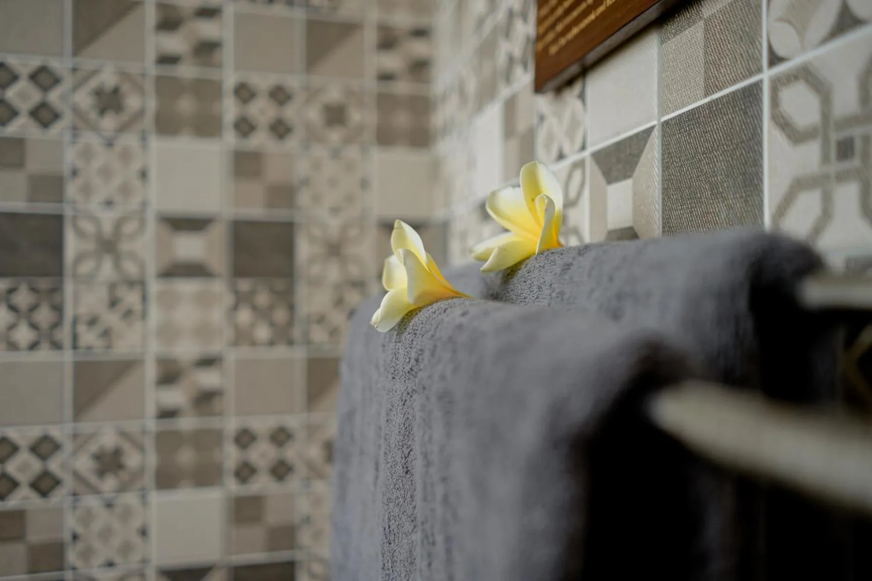 Decorative detail in Santosha Place