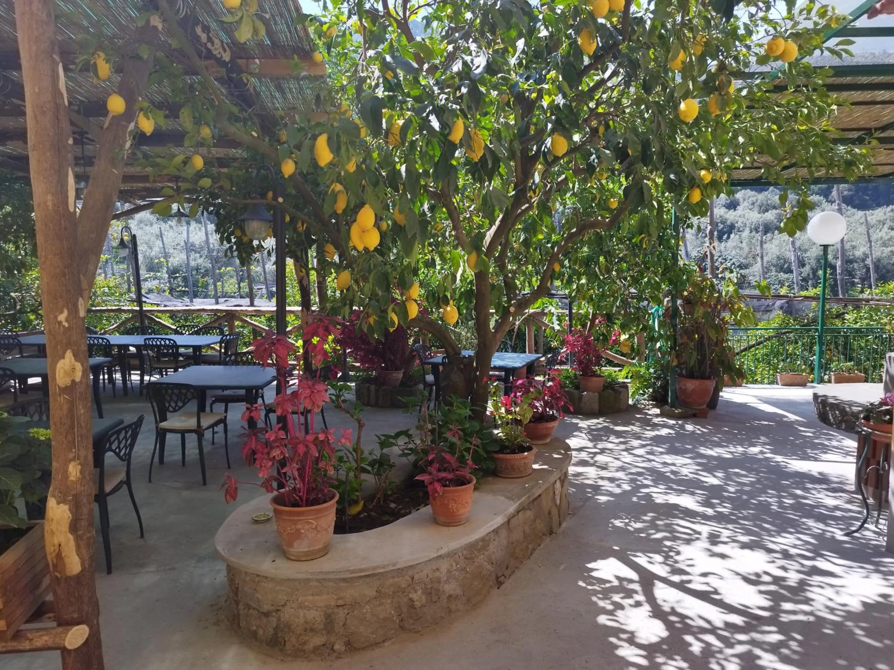 Restaurant/places to eat in Agriturismo La Lobra