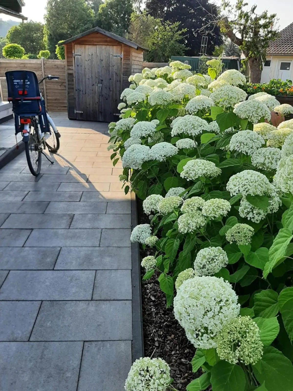 Natural landscape in Landhotel Gemeindeschänke