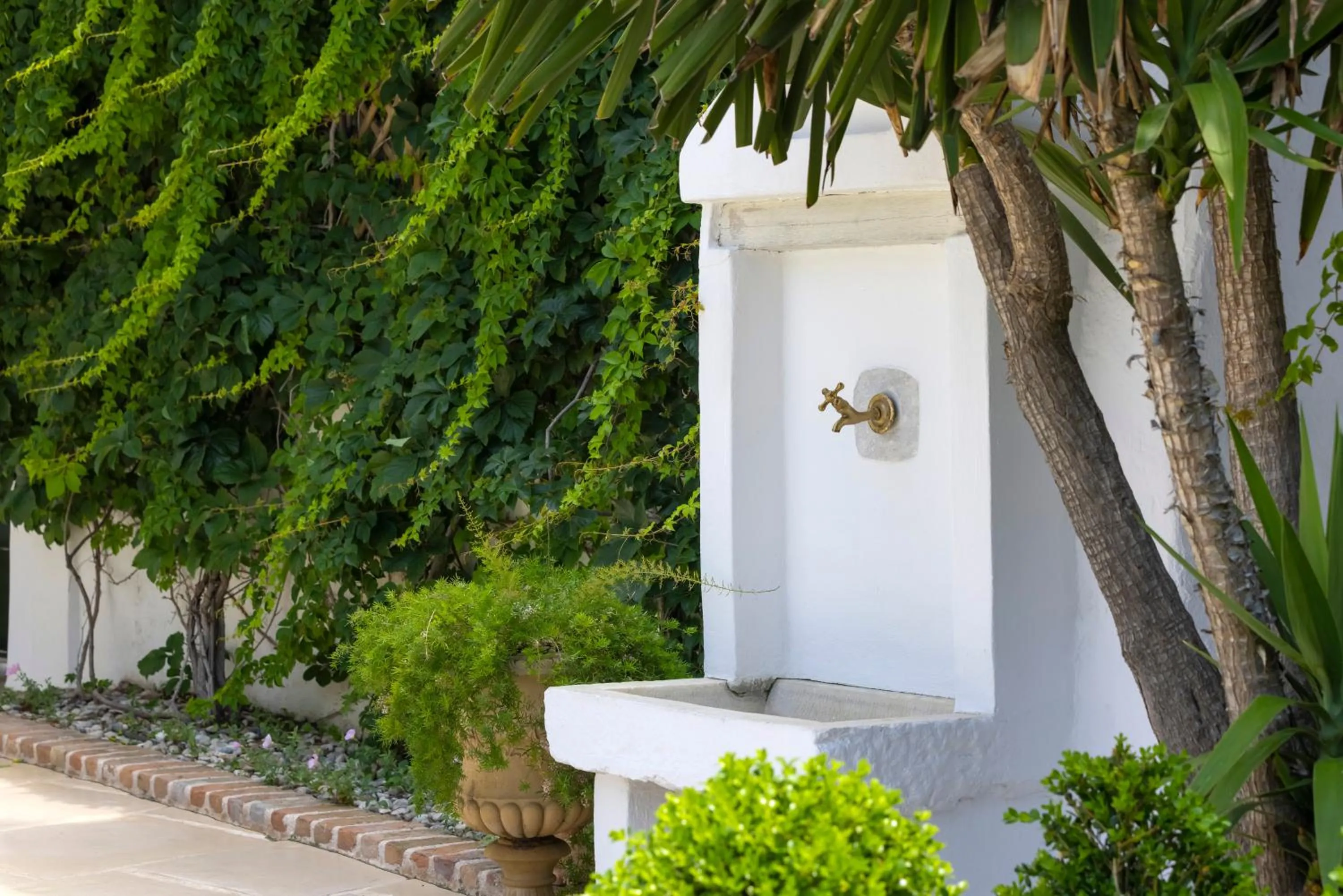 Garden in Kouneni Apartments