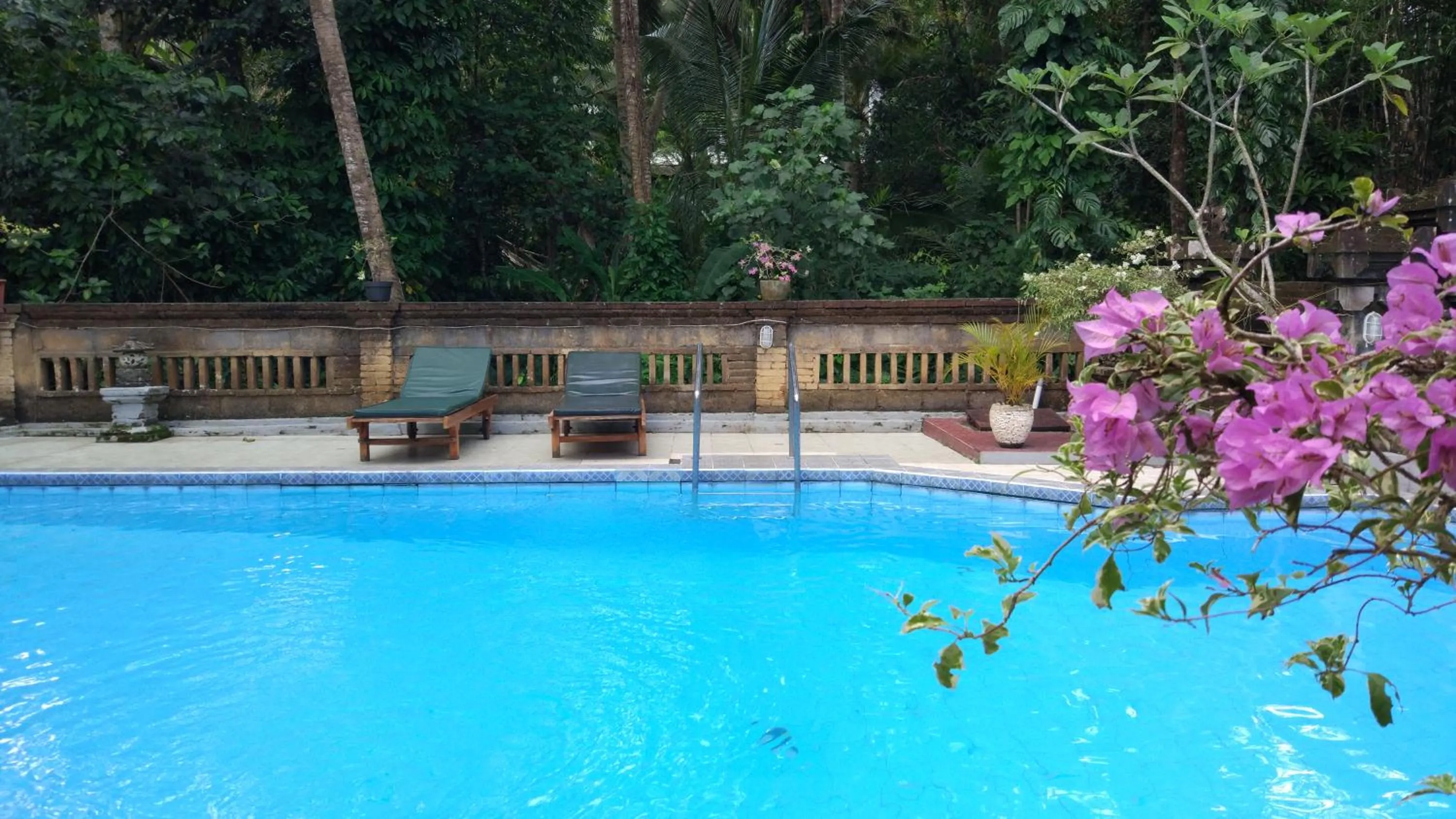 Swimming pool in Puri Bebengan Bungalows