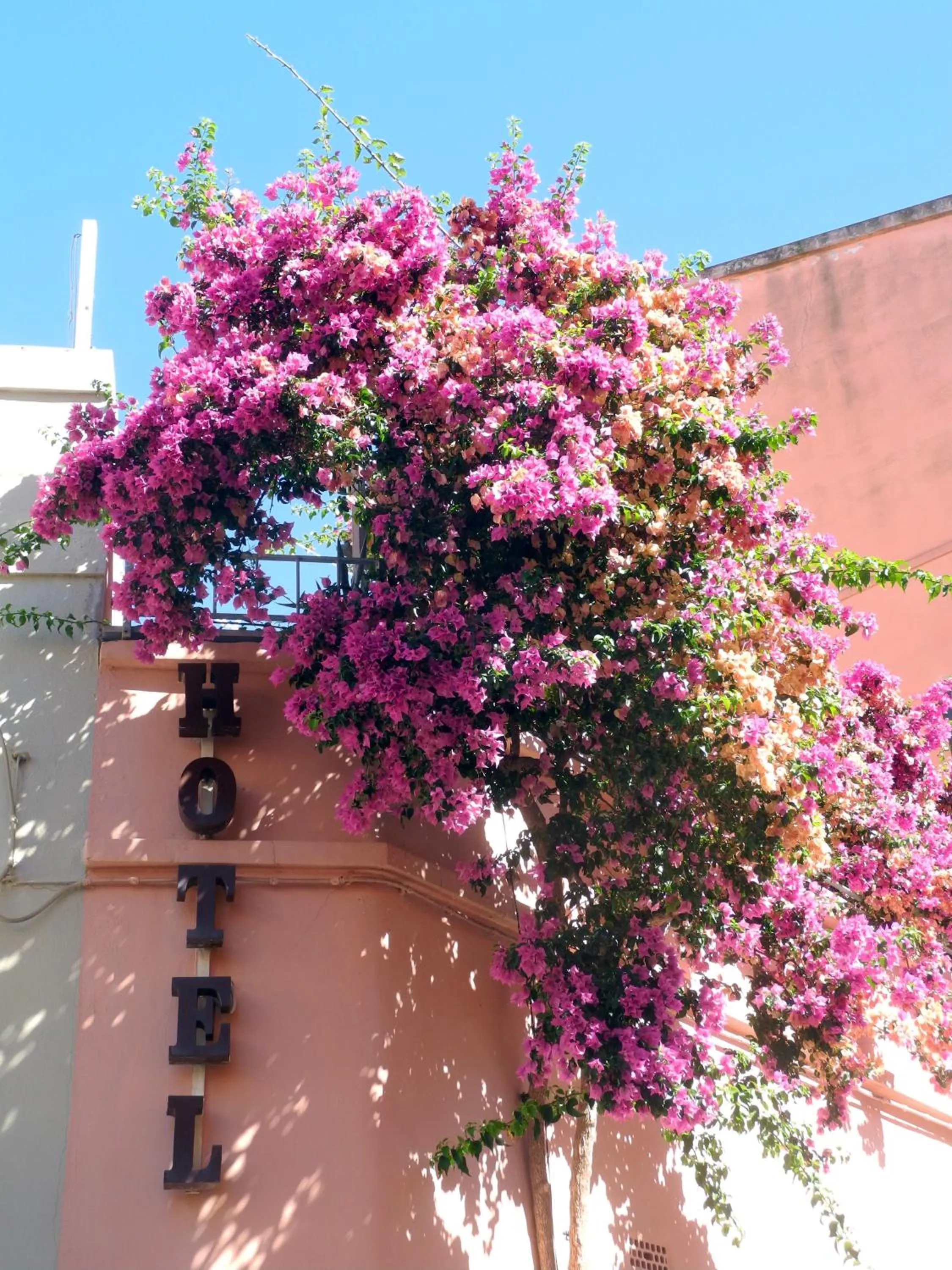 Property building in Albergo Italia