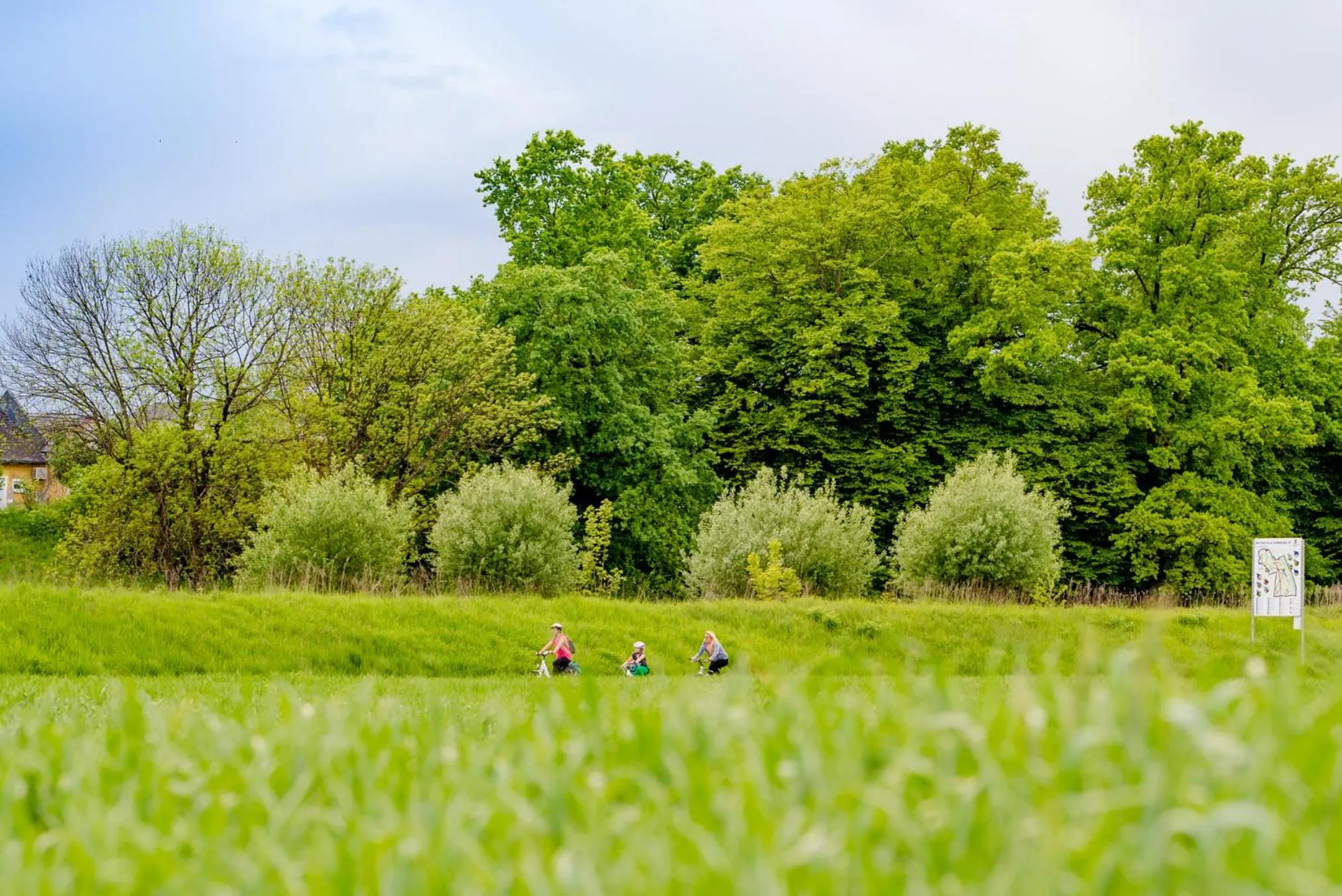 Cycling in Hotel Pendl