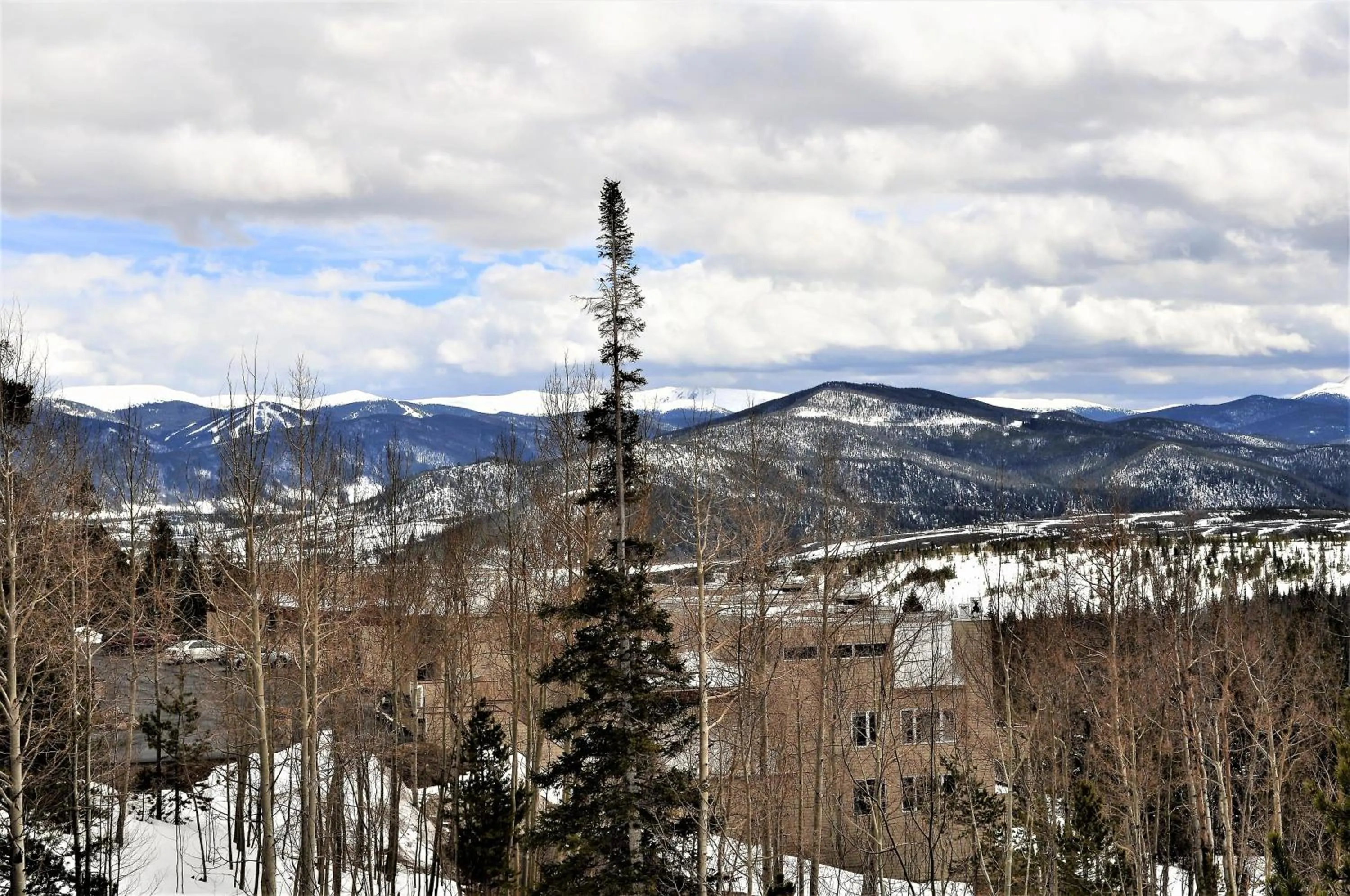 Forest Park 3 bed 4 Bath Twnhm HTJM