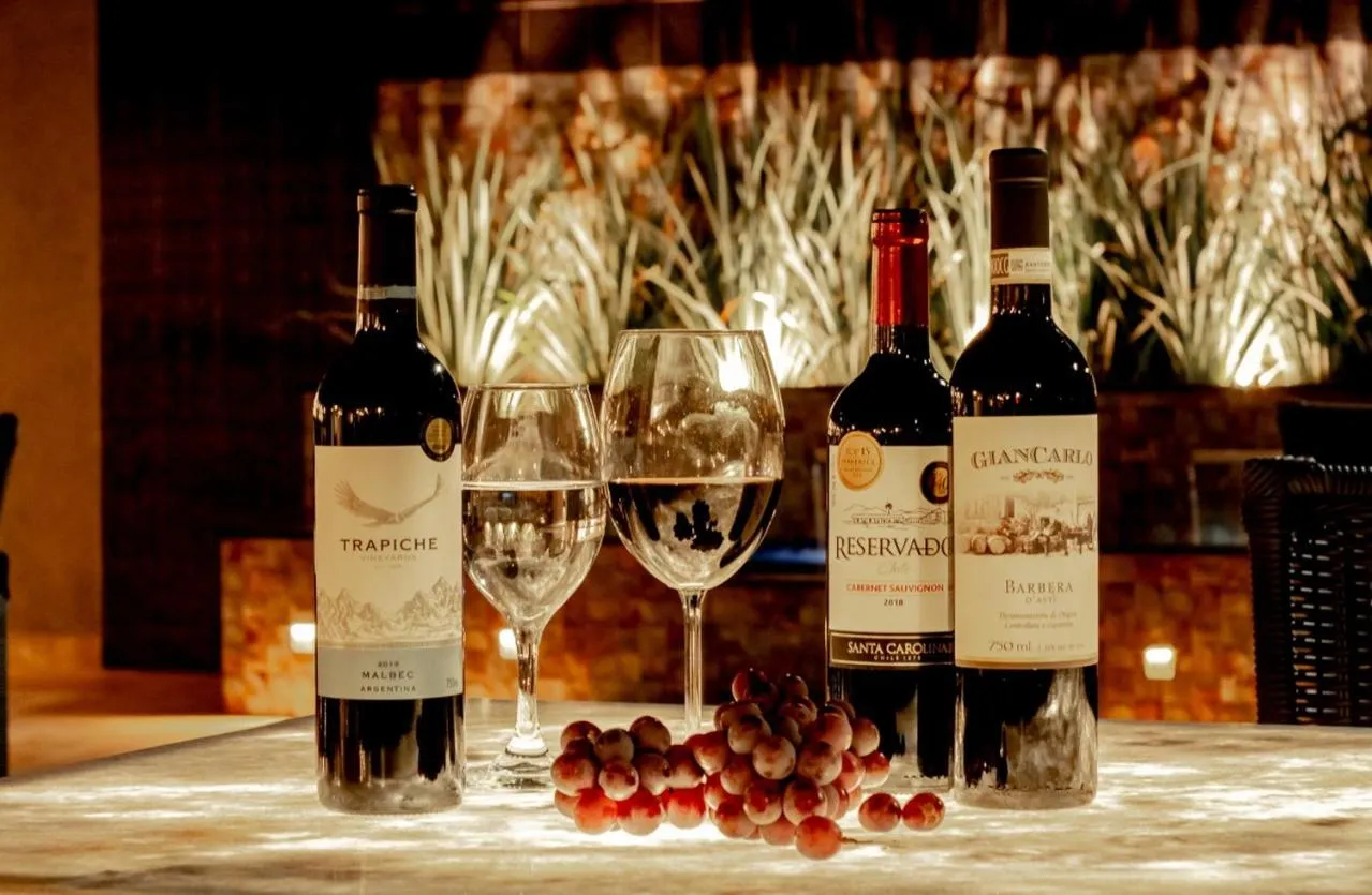 Lounge or bar in Avenida Park Hotel - Iturama