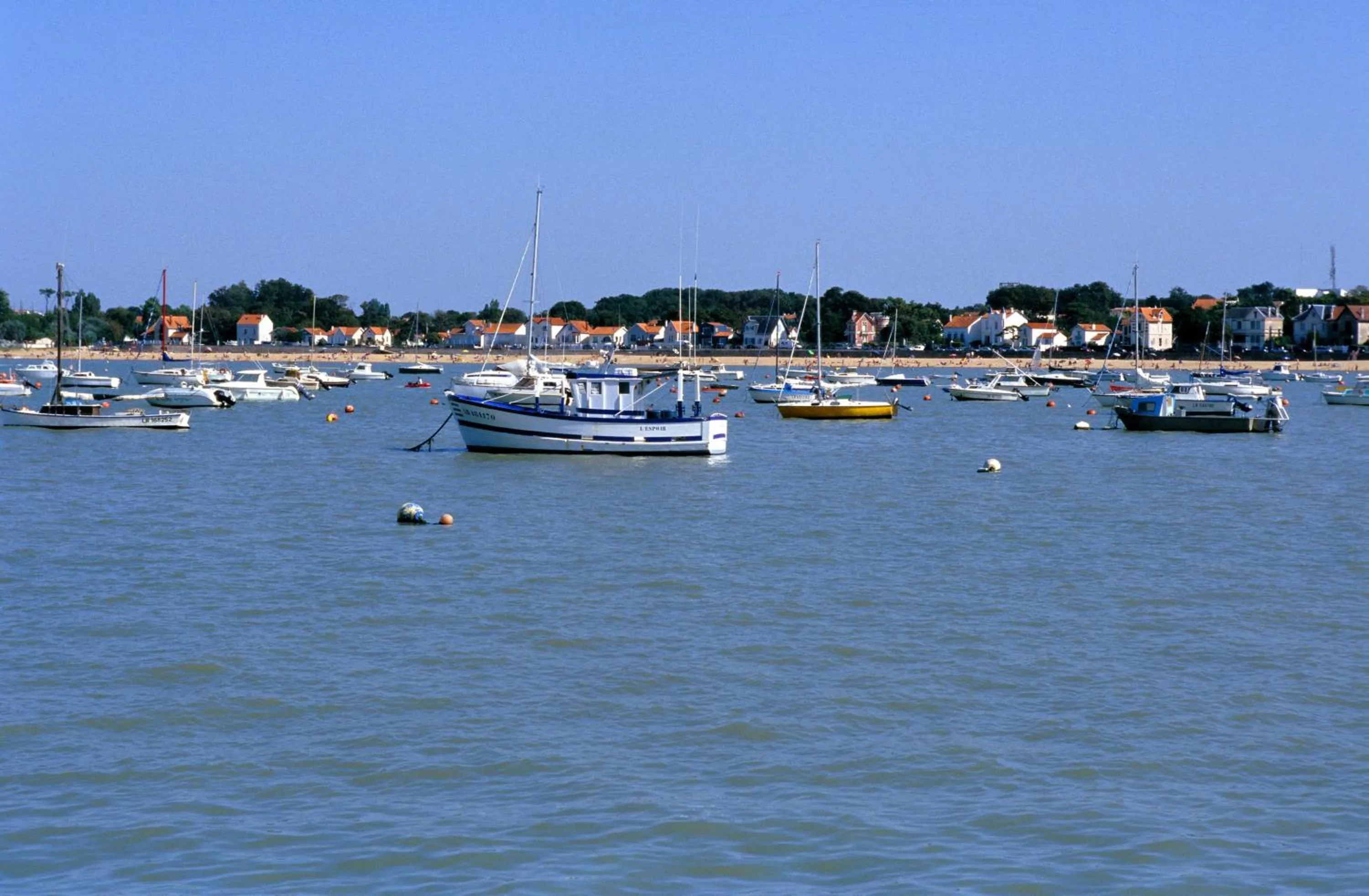 Area and facilities in Azureva Fouras