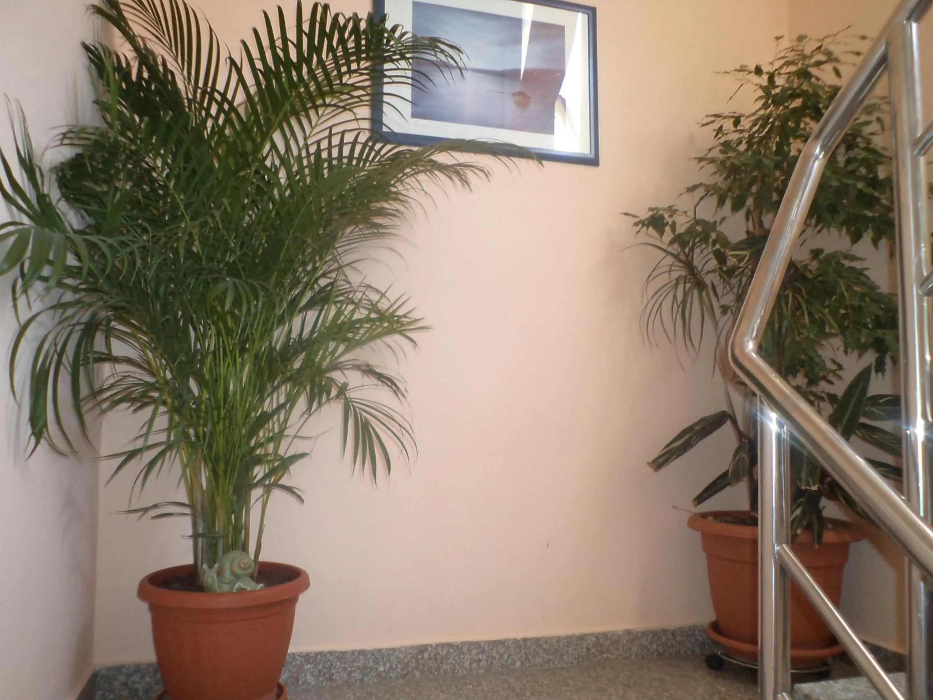 Decorative detail in Apartments Batur